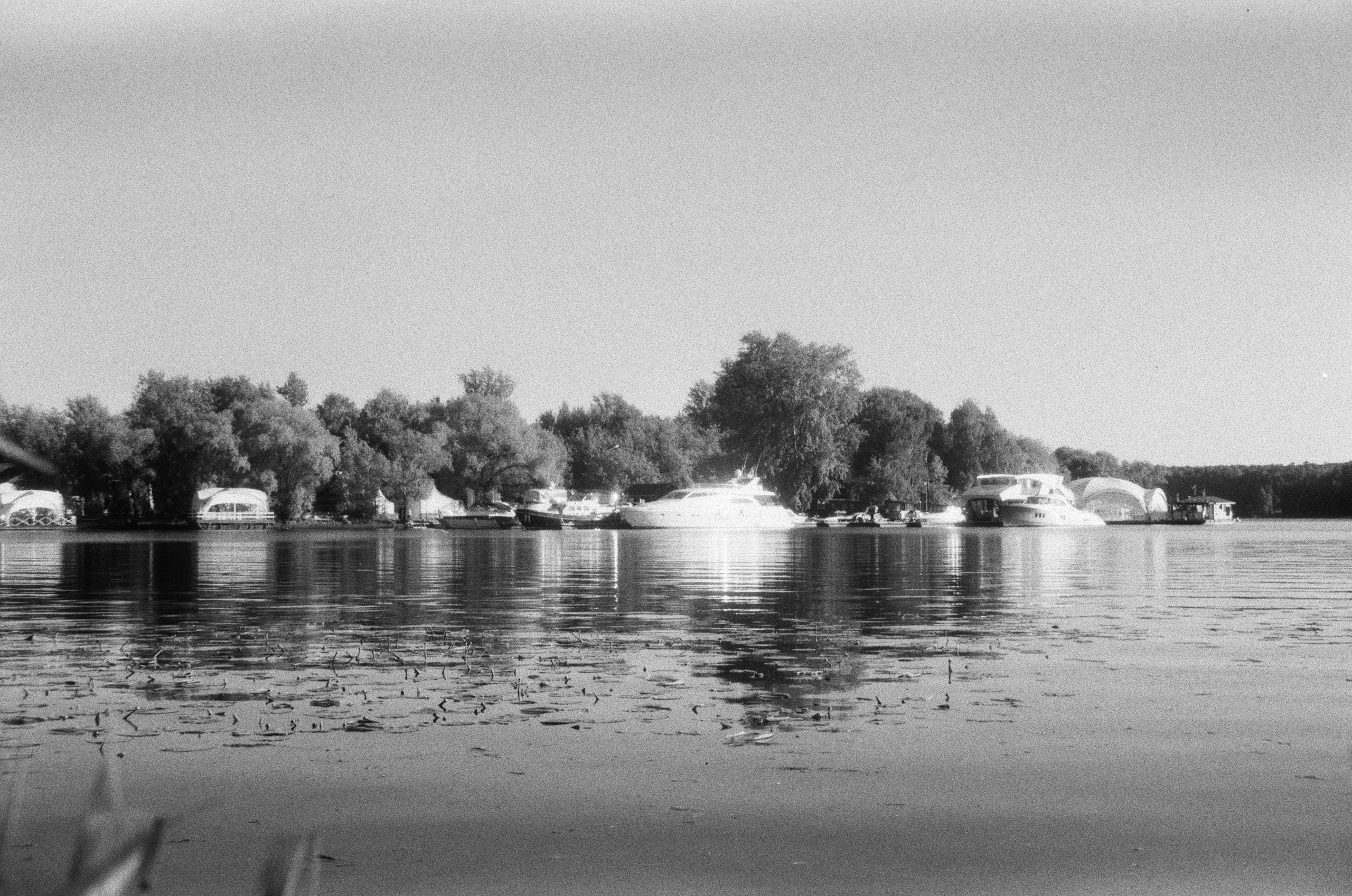 Braun Paxette примеры фотографий