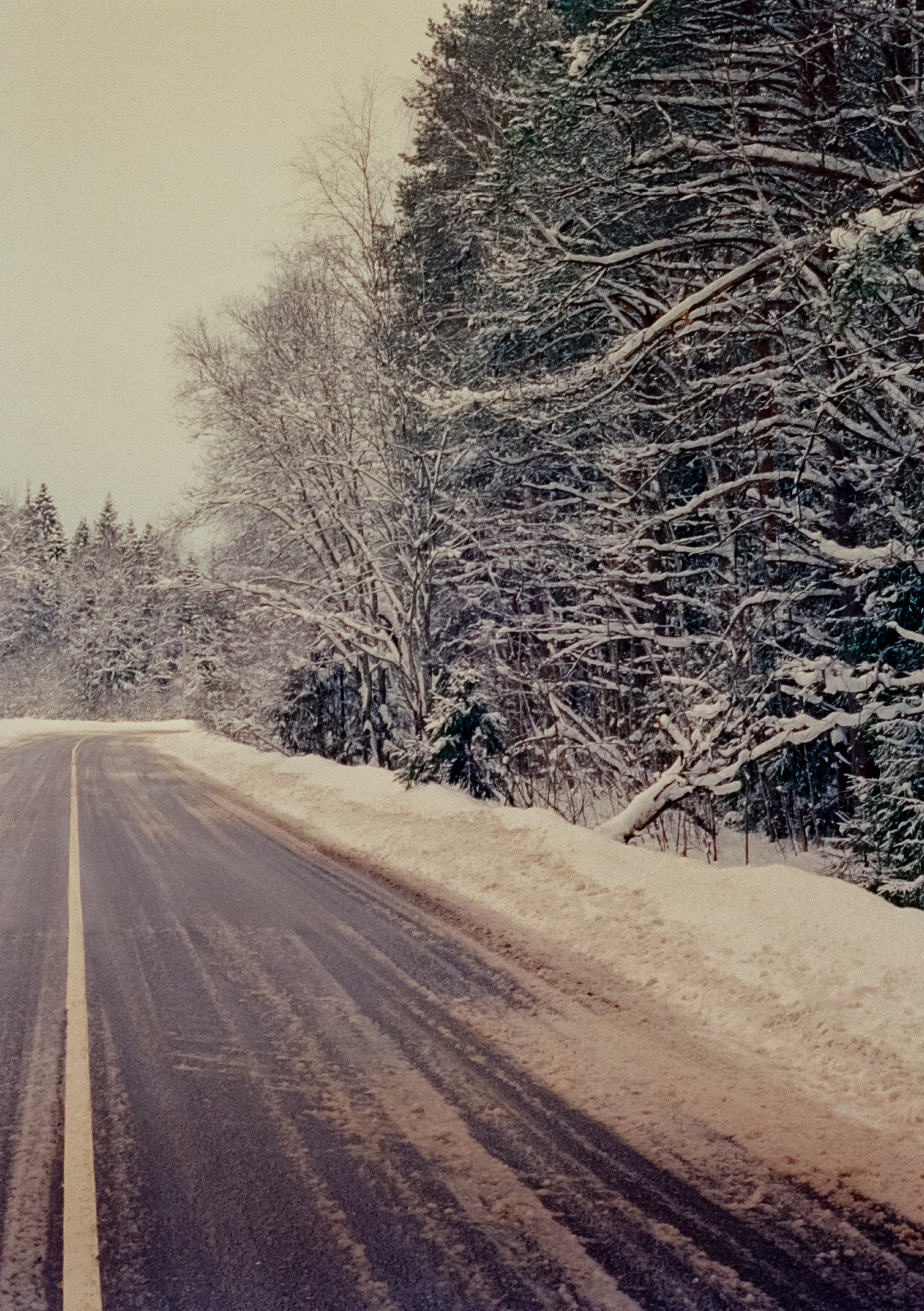 Olympus Pen EED / Kodak Vision 3 500T