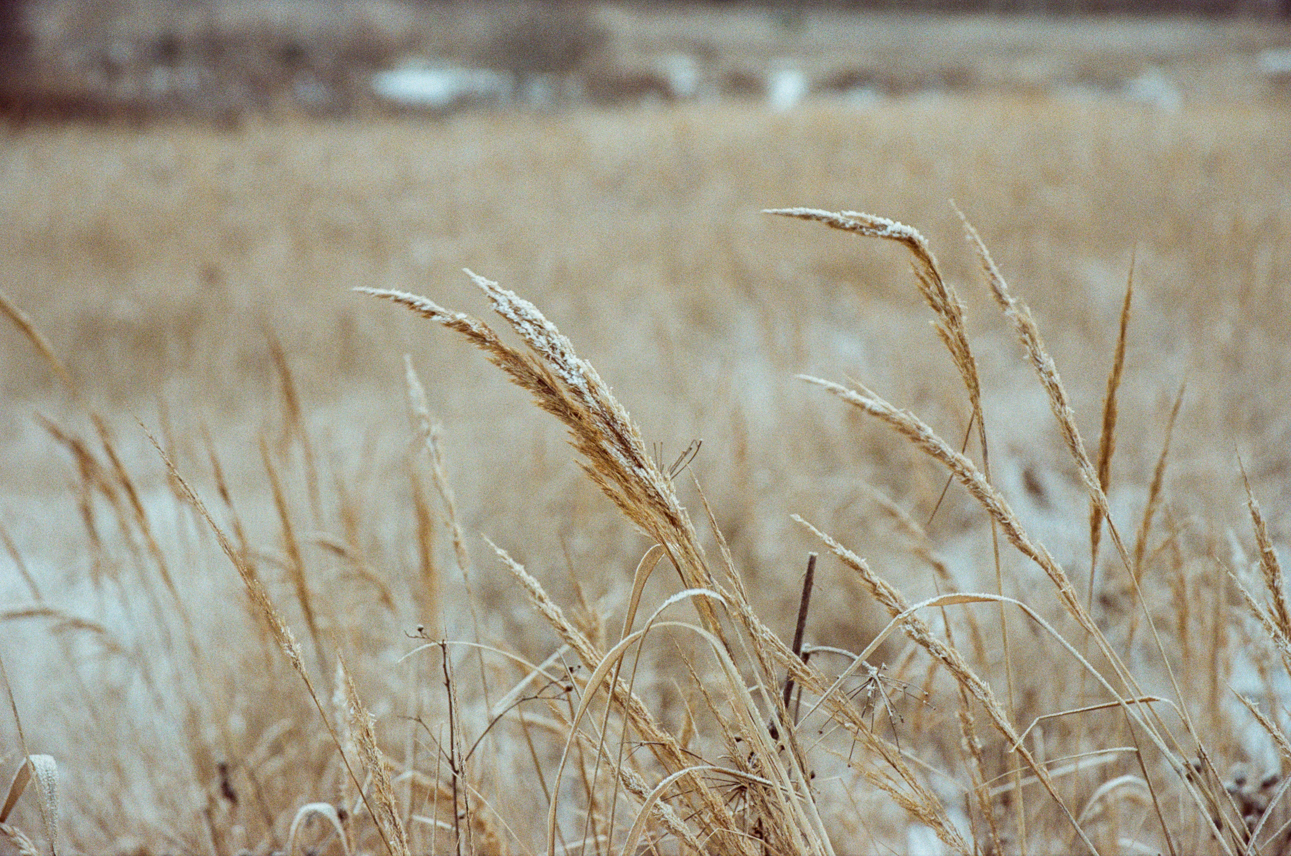 Contax N1 — Carl Zeiss Vario-Sonnar 24-85mm / Kodak Color 200