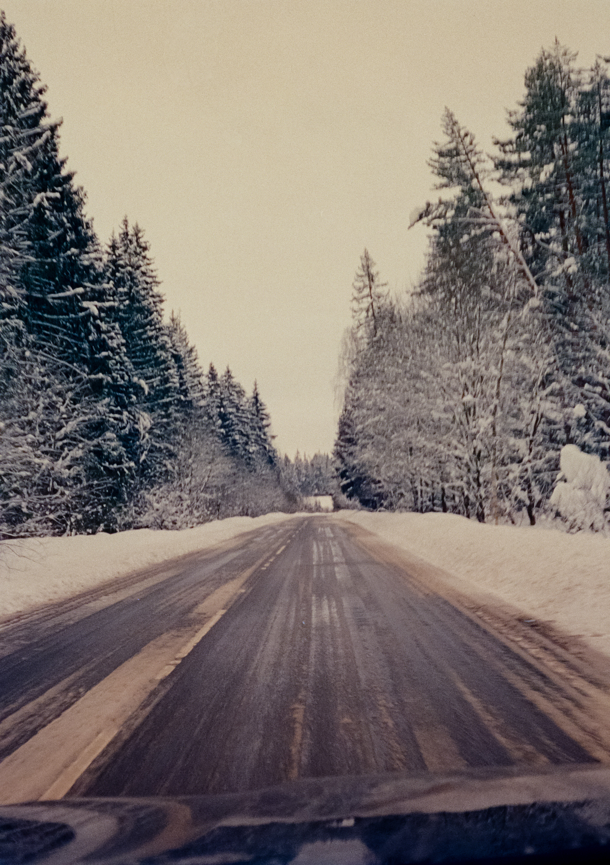 Olympus Pen EED / Kodak Vision 3 500T