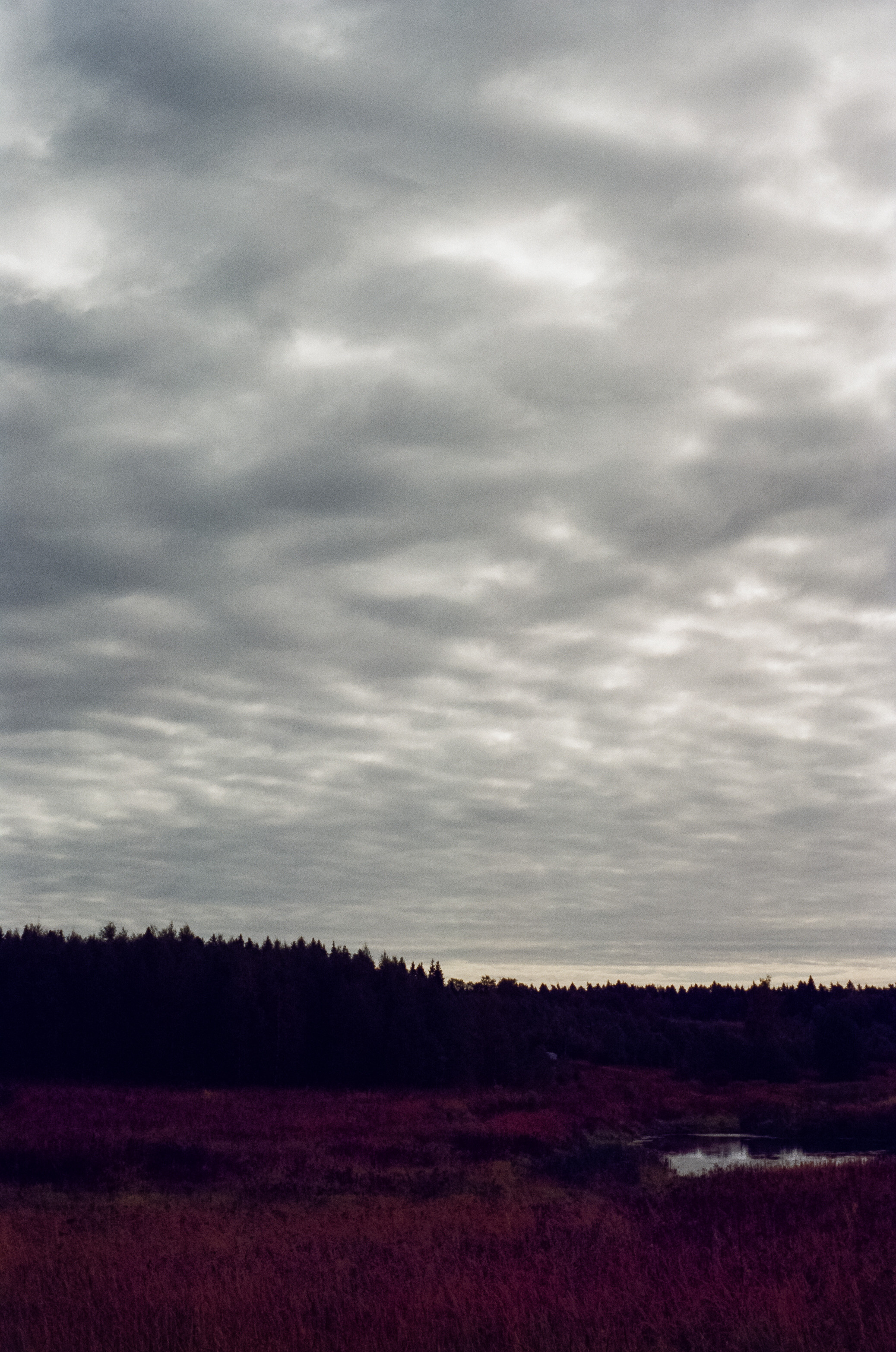 Kodak Retina IIIc — Retina Xenon C 50 mm f2.0 / Kodak Vision 3 250D