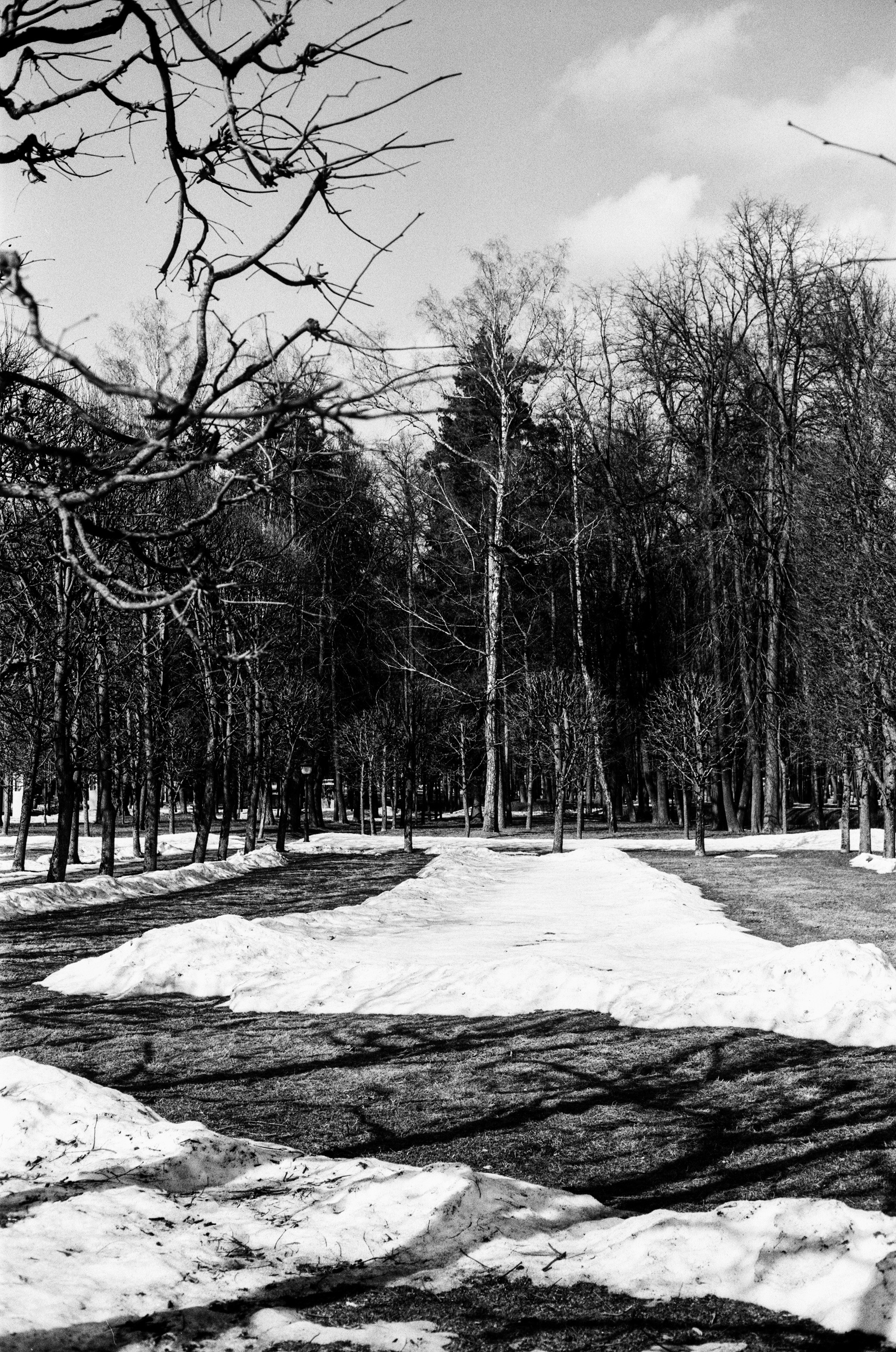 Minolta V2 / ТАСМА Тип-25