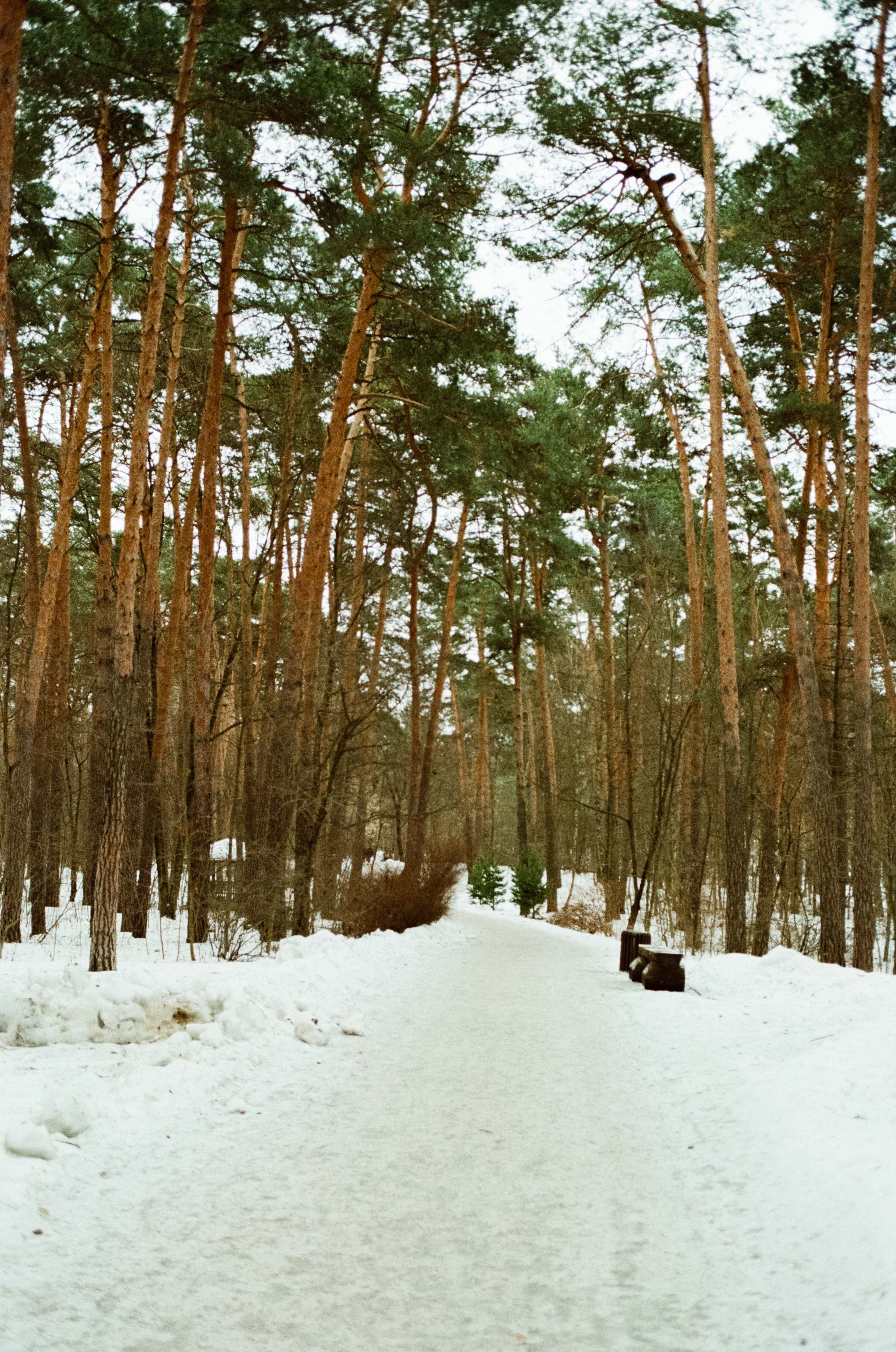 SMC Pentax-FA 35 mm f2.0 — Pentax MZ-3 / Kodak Color Plus 200