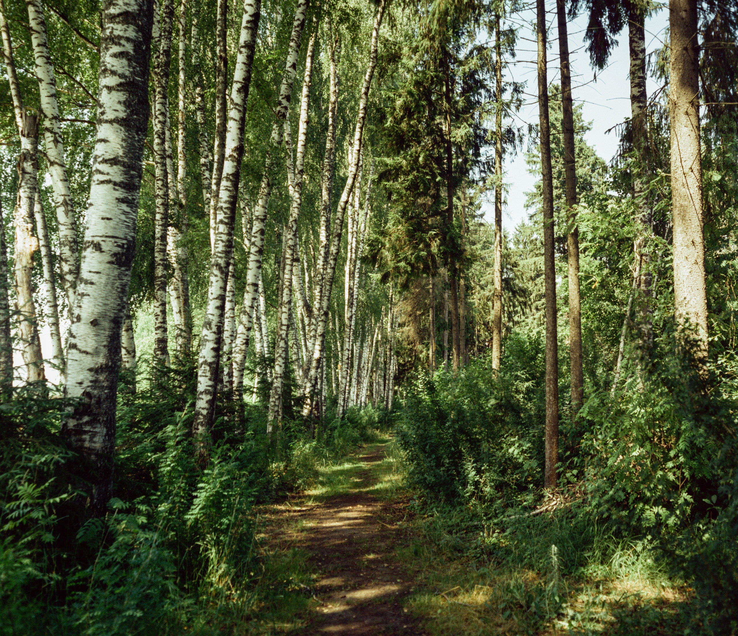 Canon Canonet QL17 G-III QL