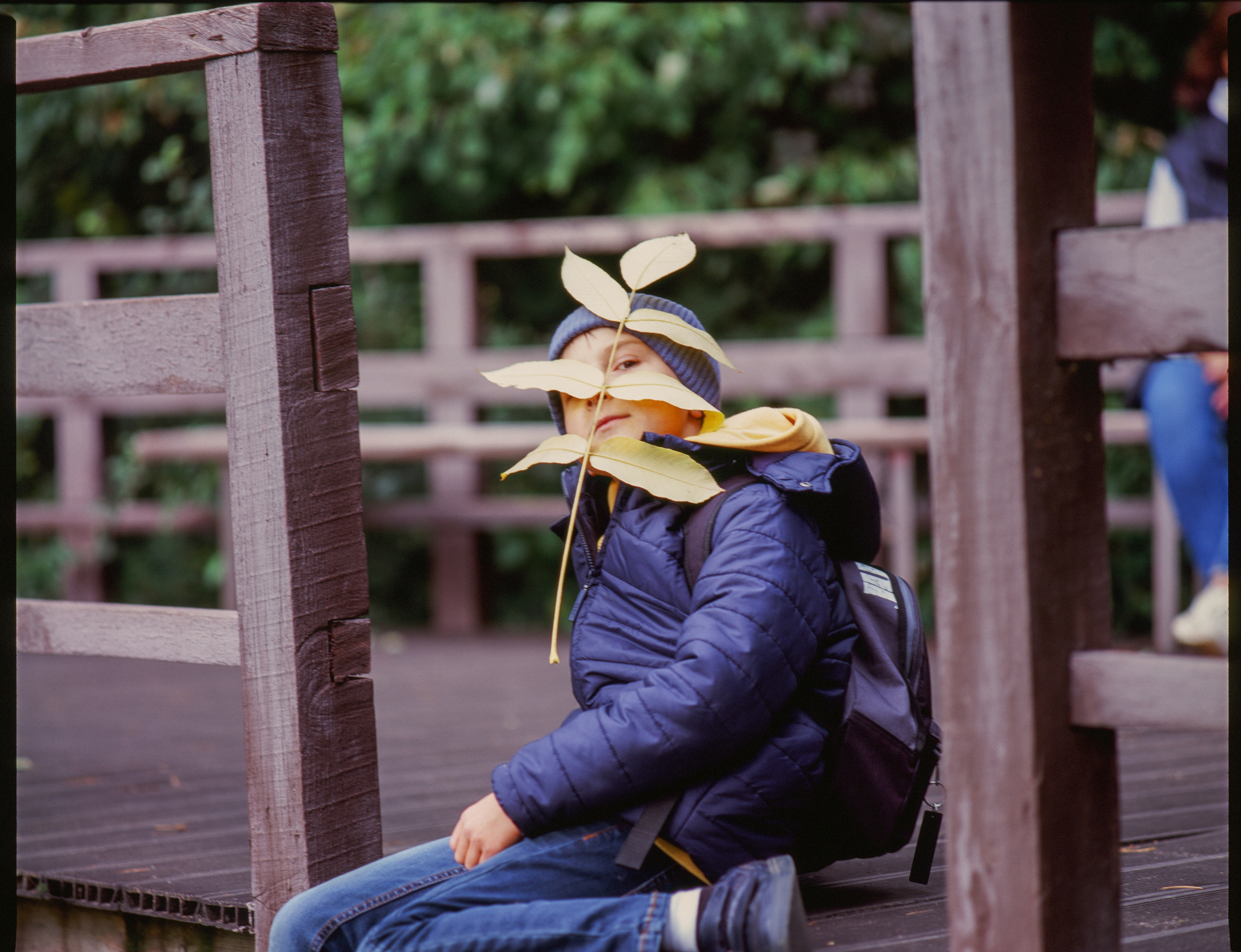 Zenza Bronica ETR — Zenzanon 150 f3.5 / Fujichrome Velvia 100