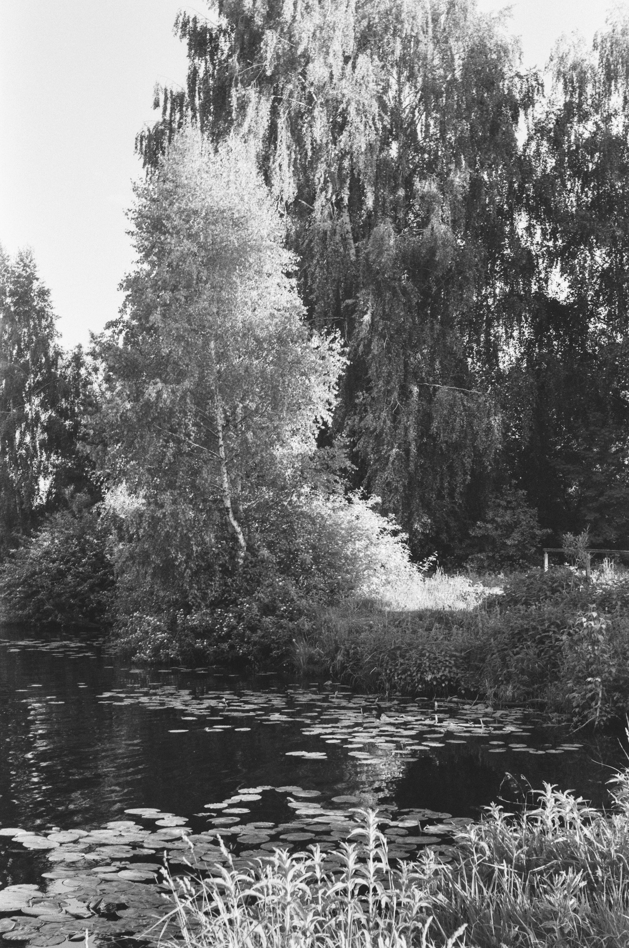 Welta Weltini примеры фотографий