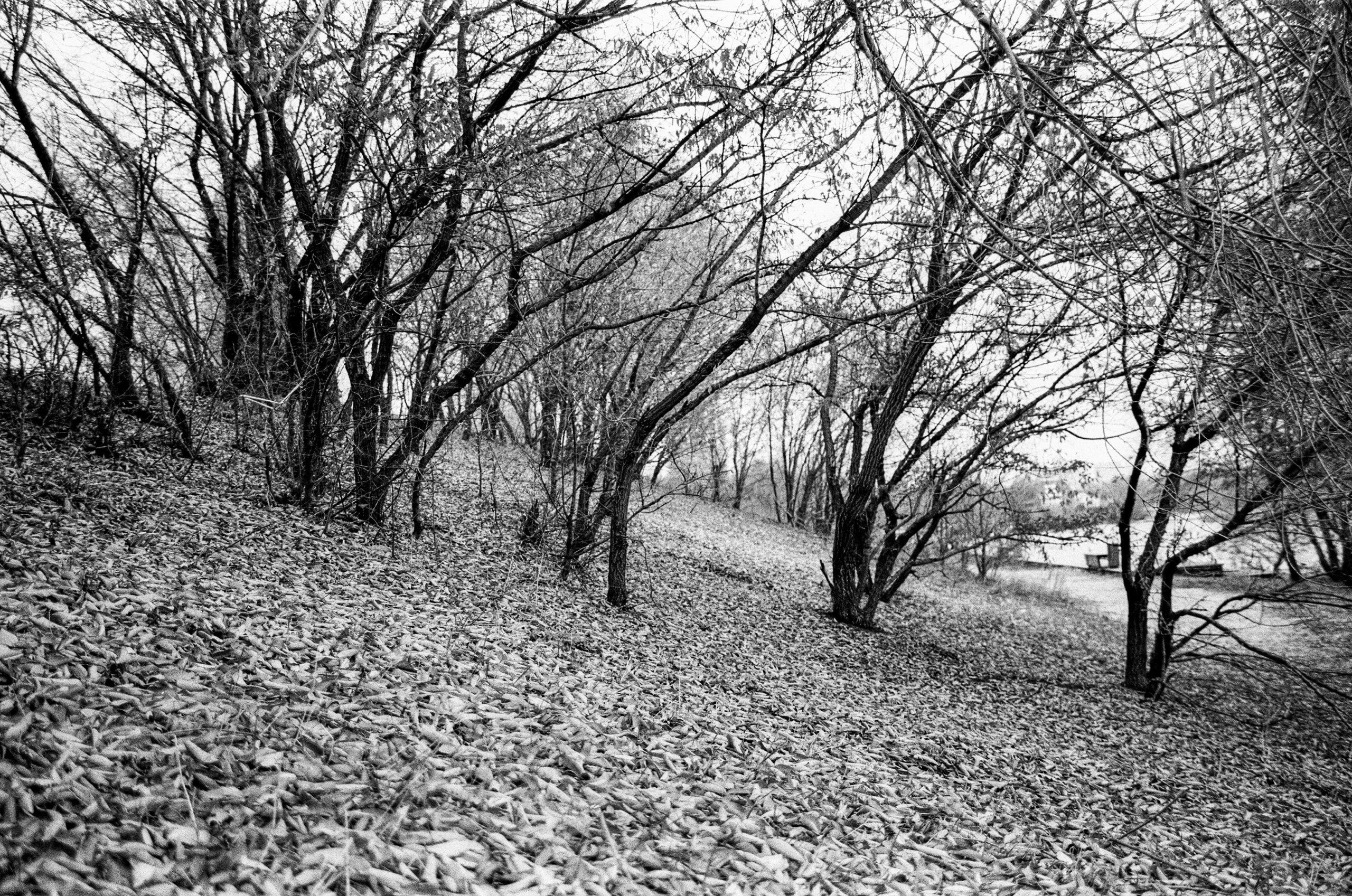 Nikon F80 — Voigtlander Ultron 28-105mm f2.8-3.8 / SFL T-42 ISO 400