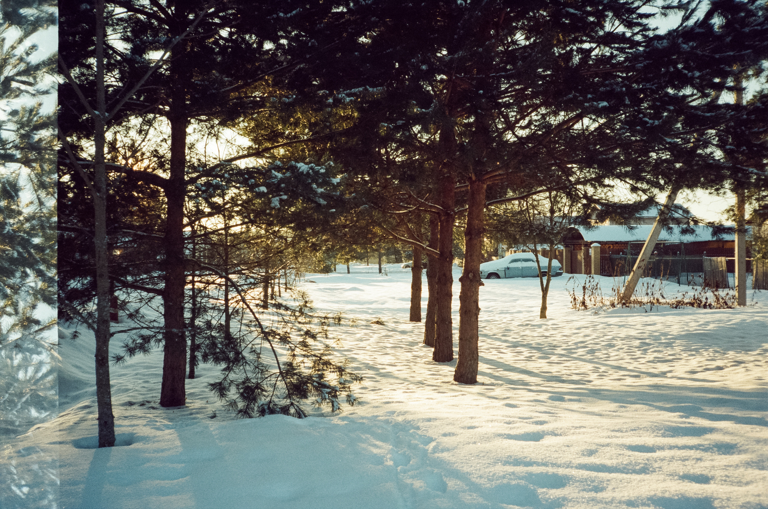 Kodak Vision 3 250D / Revue 35CC