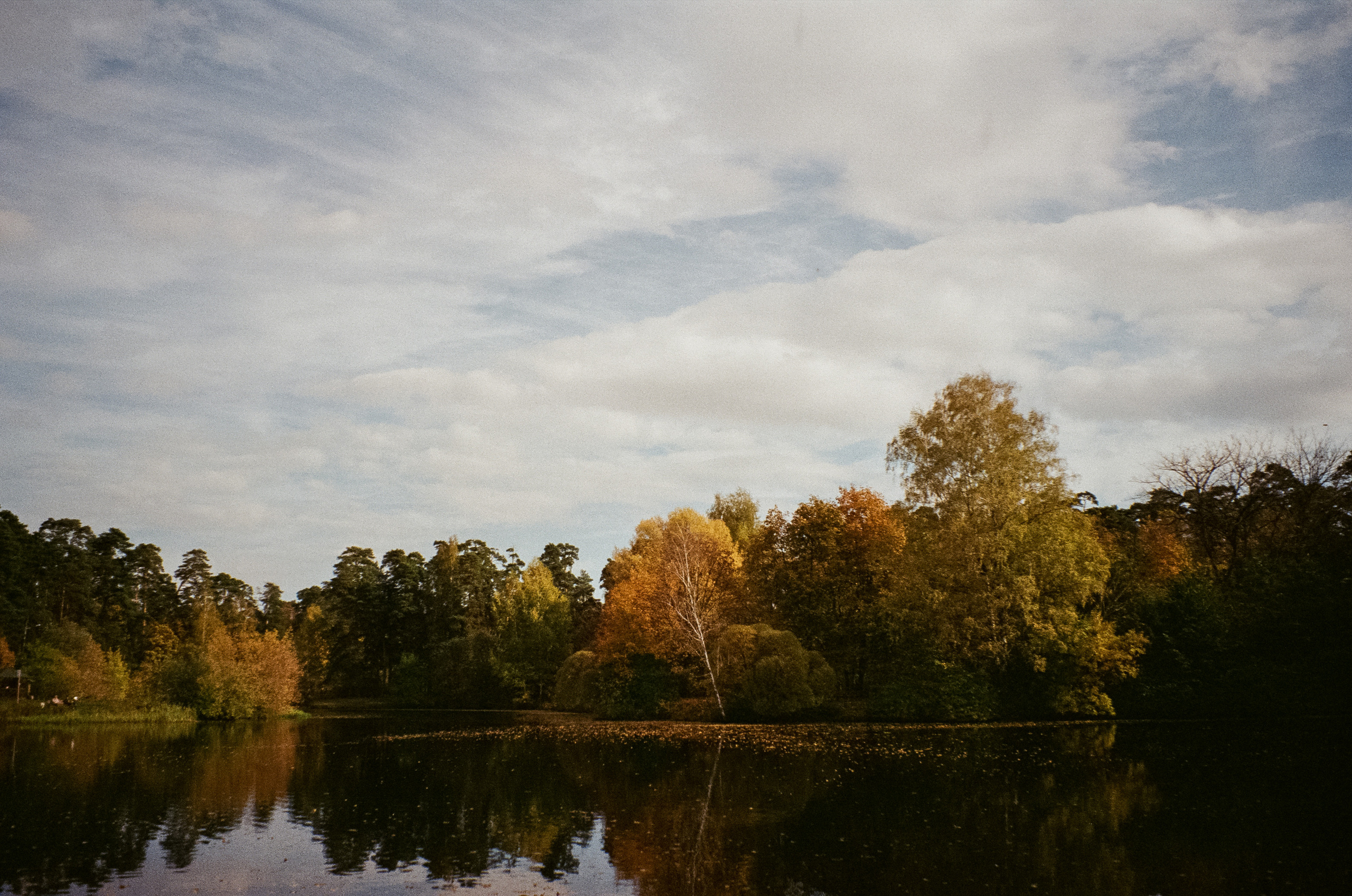Осень на Kodak Gold 200