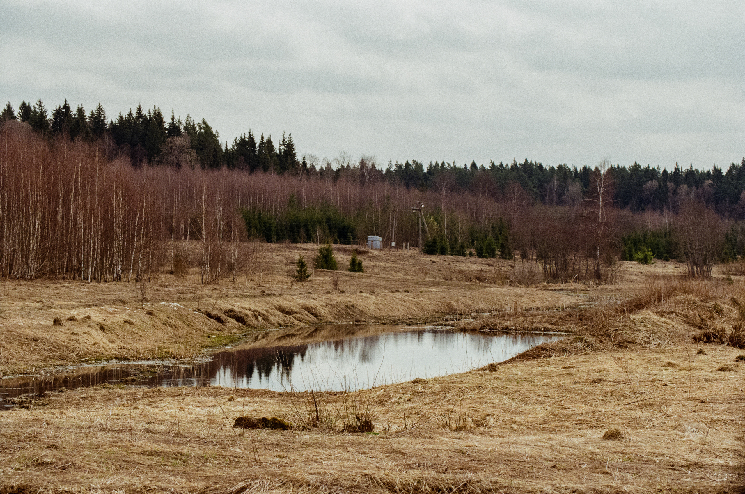 Carl Zeiss Makro-Sonnar 100mm f2.8