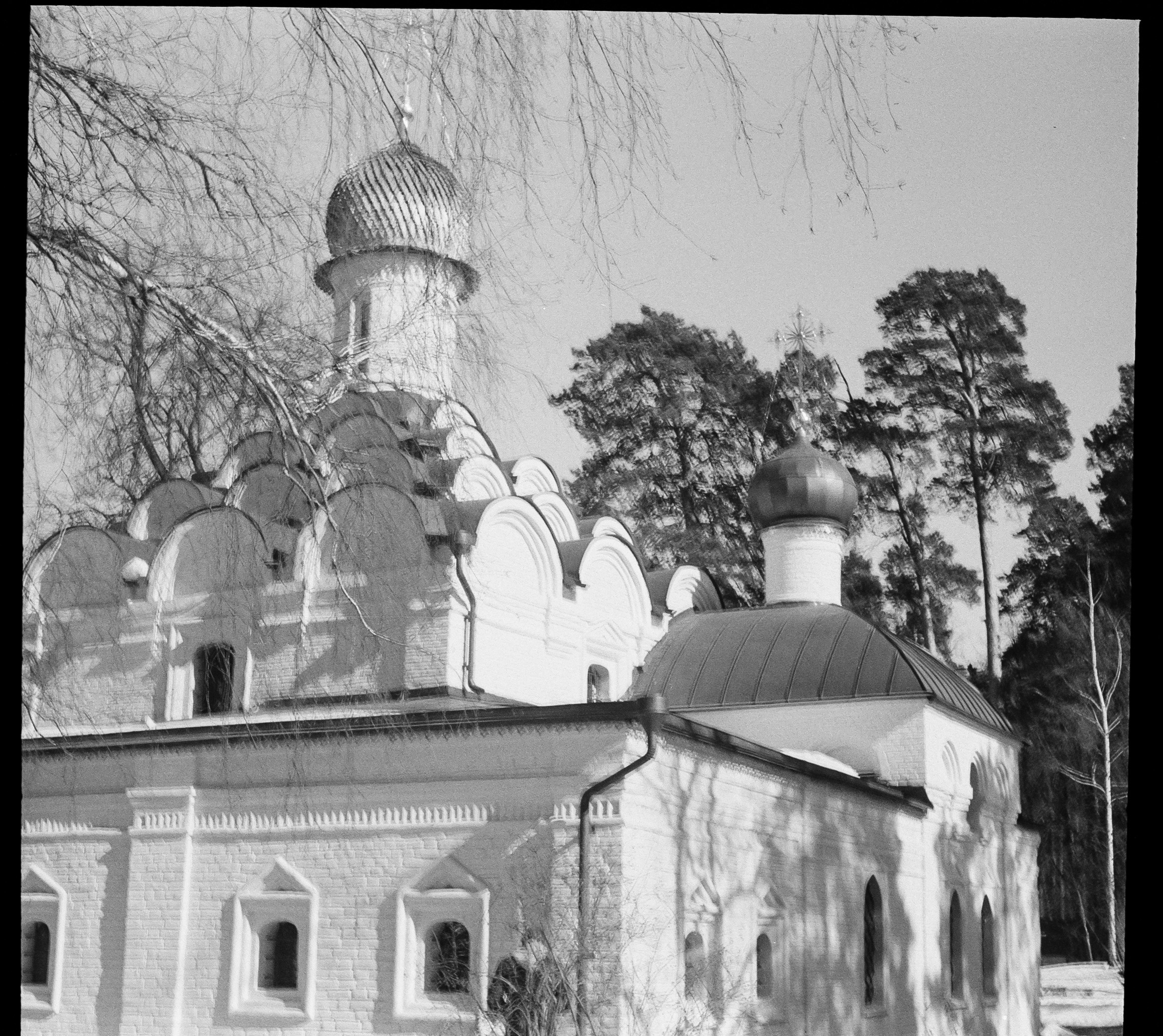 SFL UN 54 BW / Zeiss Ikon Tenax