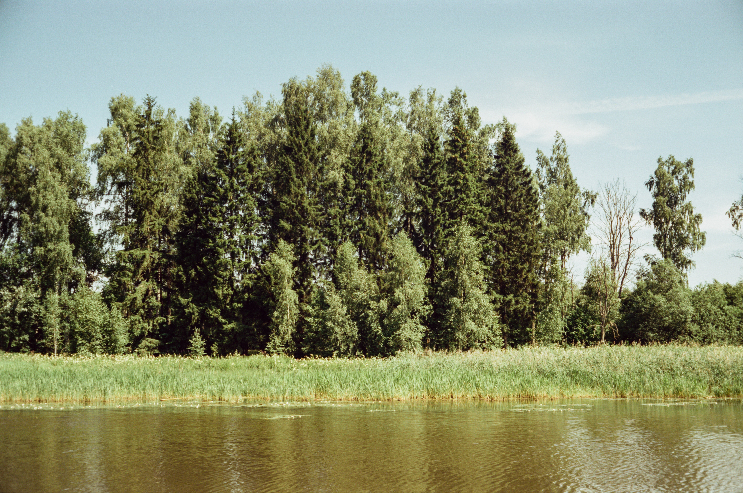 Canon Canonet QL17 G-III QL