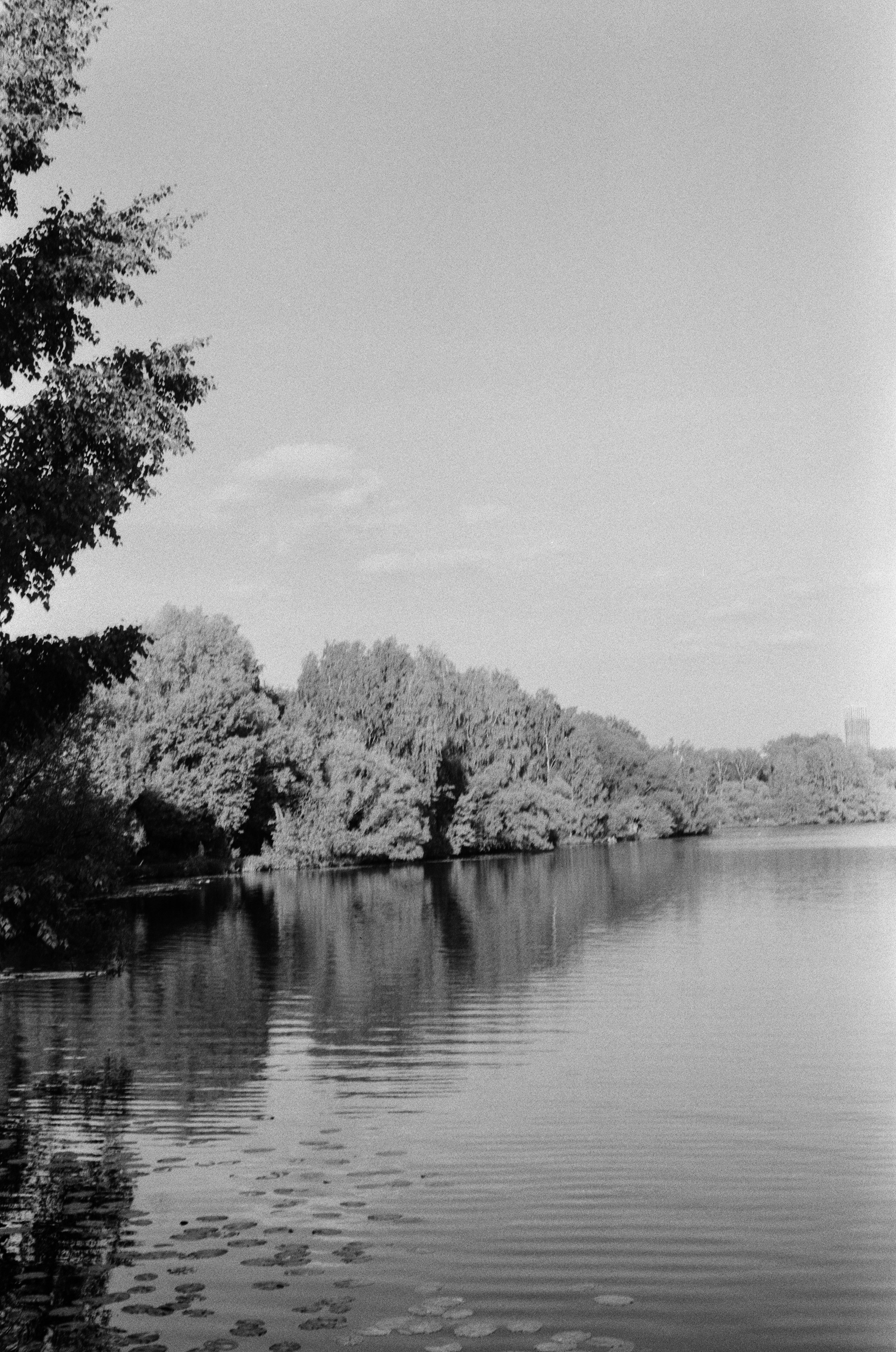 Agfa Aviphot Pan