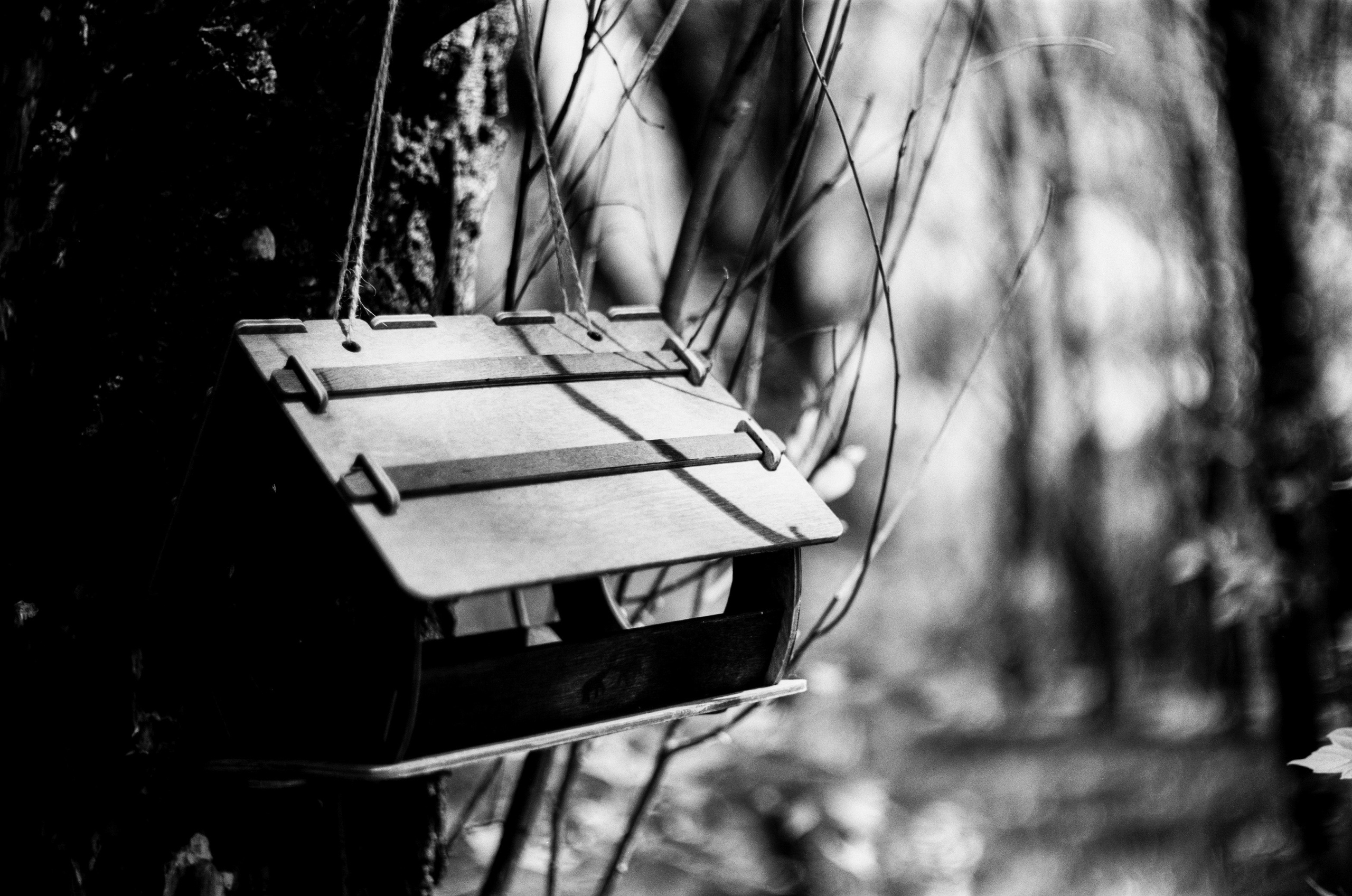 Kodak Retina Reflex S review