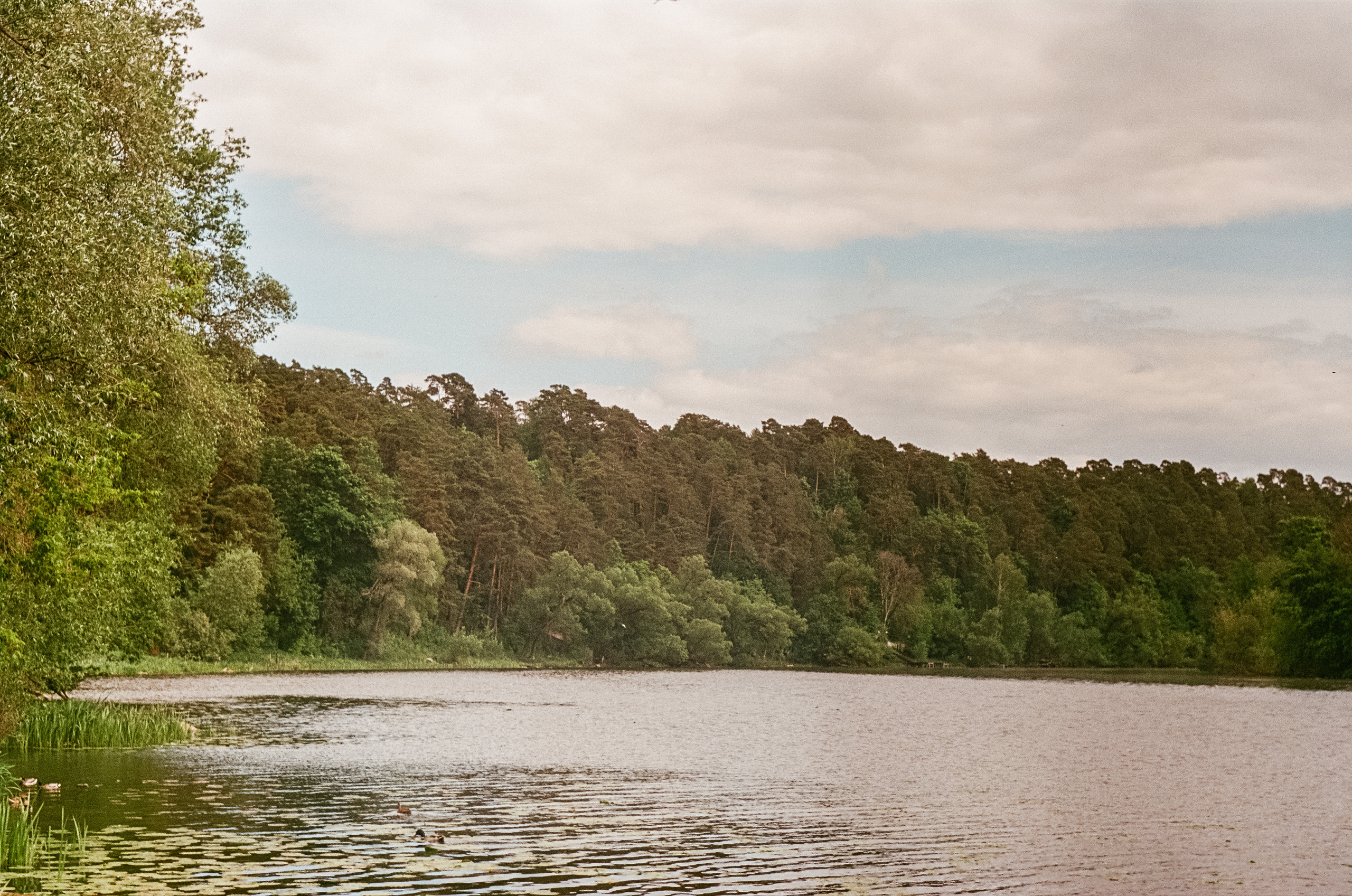 Edixa Reflex-D | Carl Zeiss Jena Biotar 58 mm f2.0 | SFA A-color 125