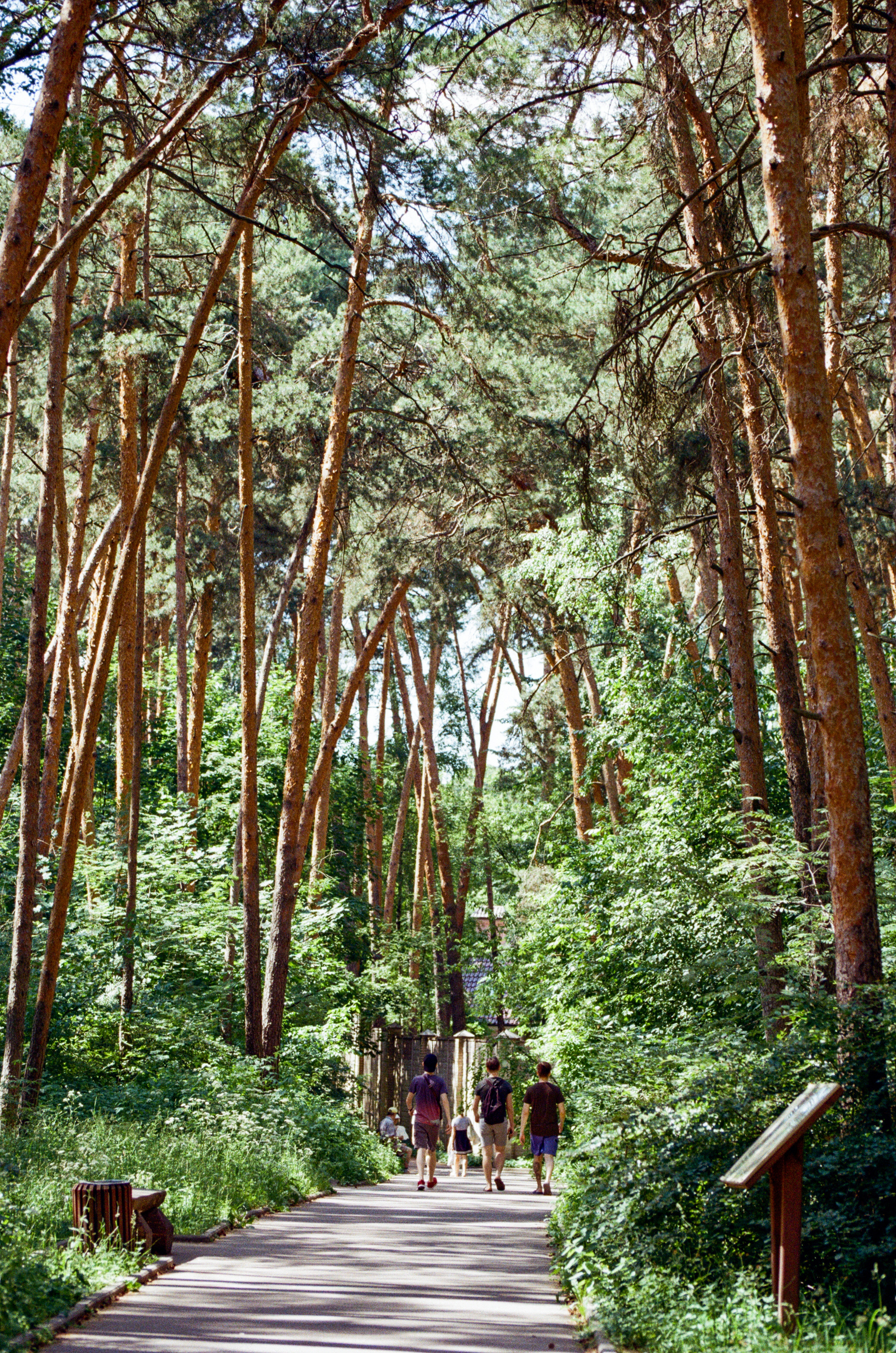 Carl Zeiss Makro-Sonnar 100mm f2.8