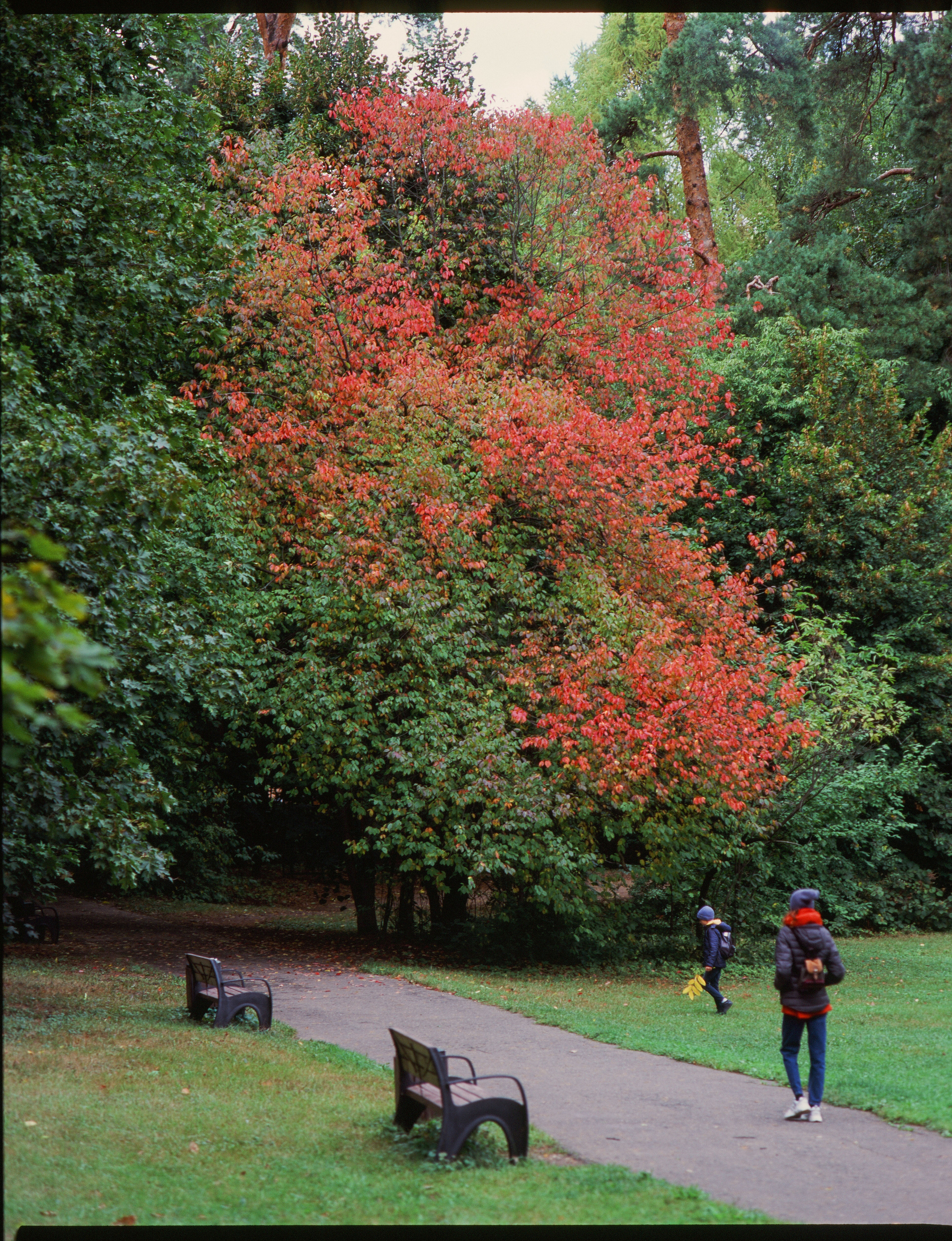 Zenza Bronica ETR — Zenzanon 150 f3.5 / Fujichrome Velvia 100