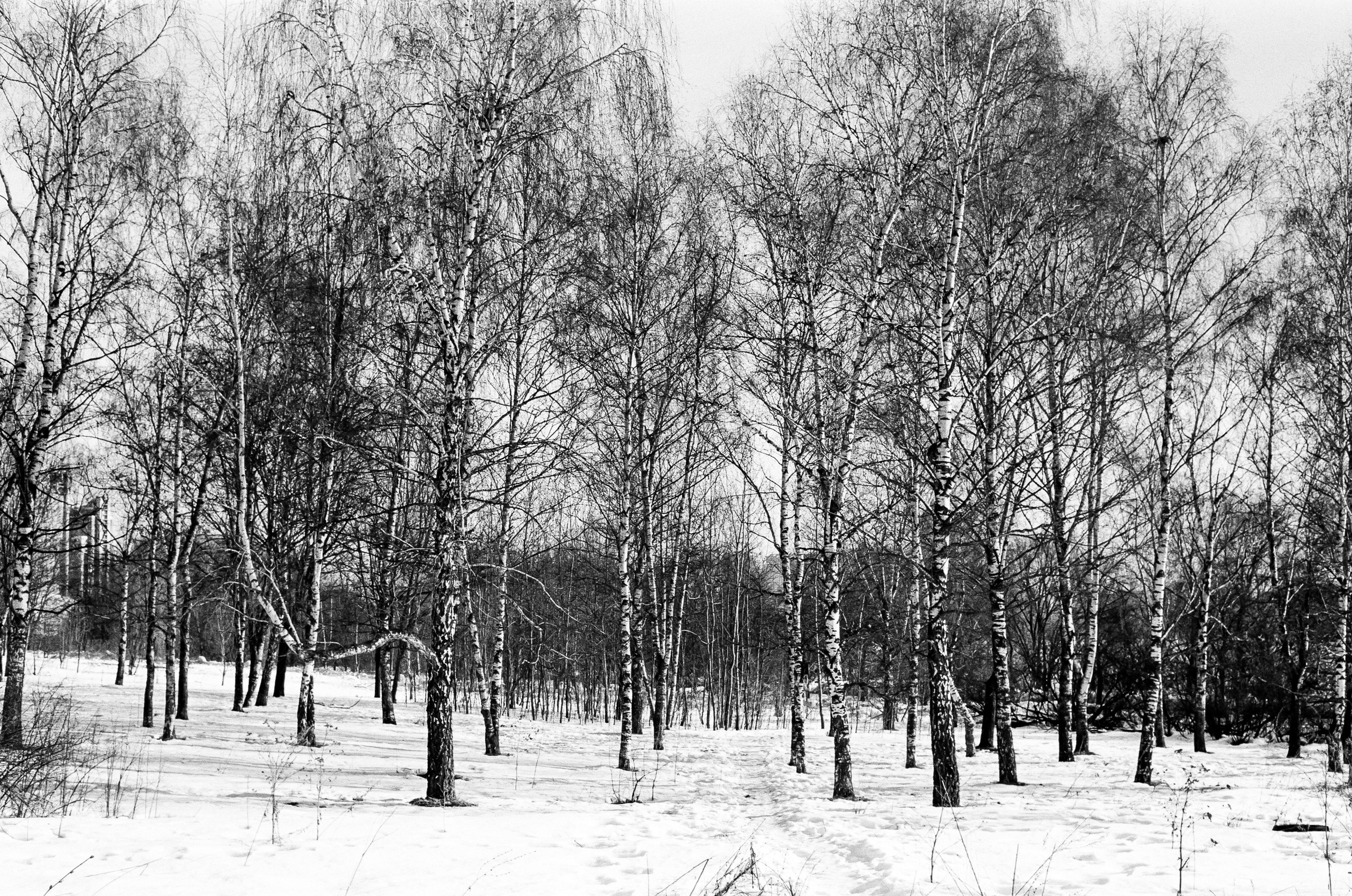 Retina Xenon C 50mm f2.0 примеры фотографий