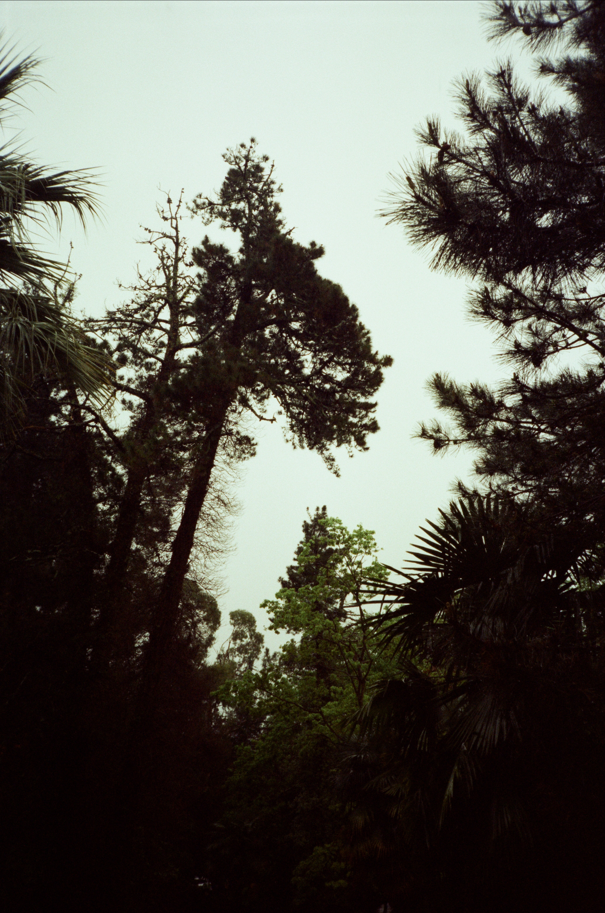 Дача Сталина и закаты в Сочи / Revue 35 CC