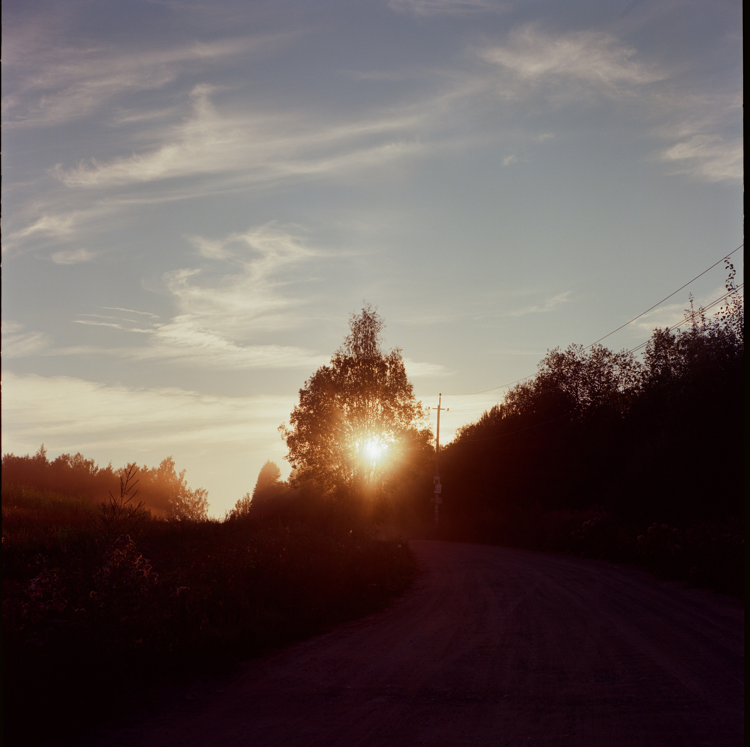 Закат на Kodak Ektar 100 и Yashica Mat-124