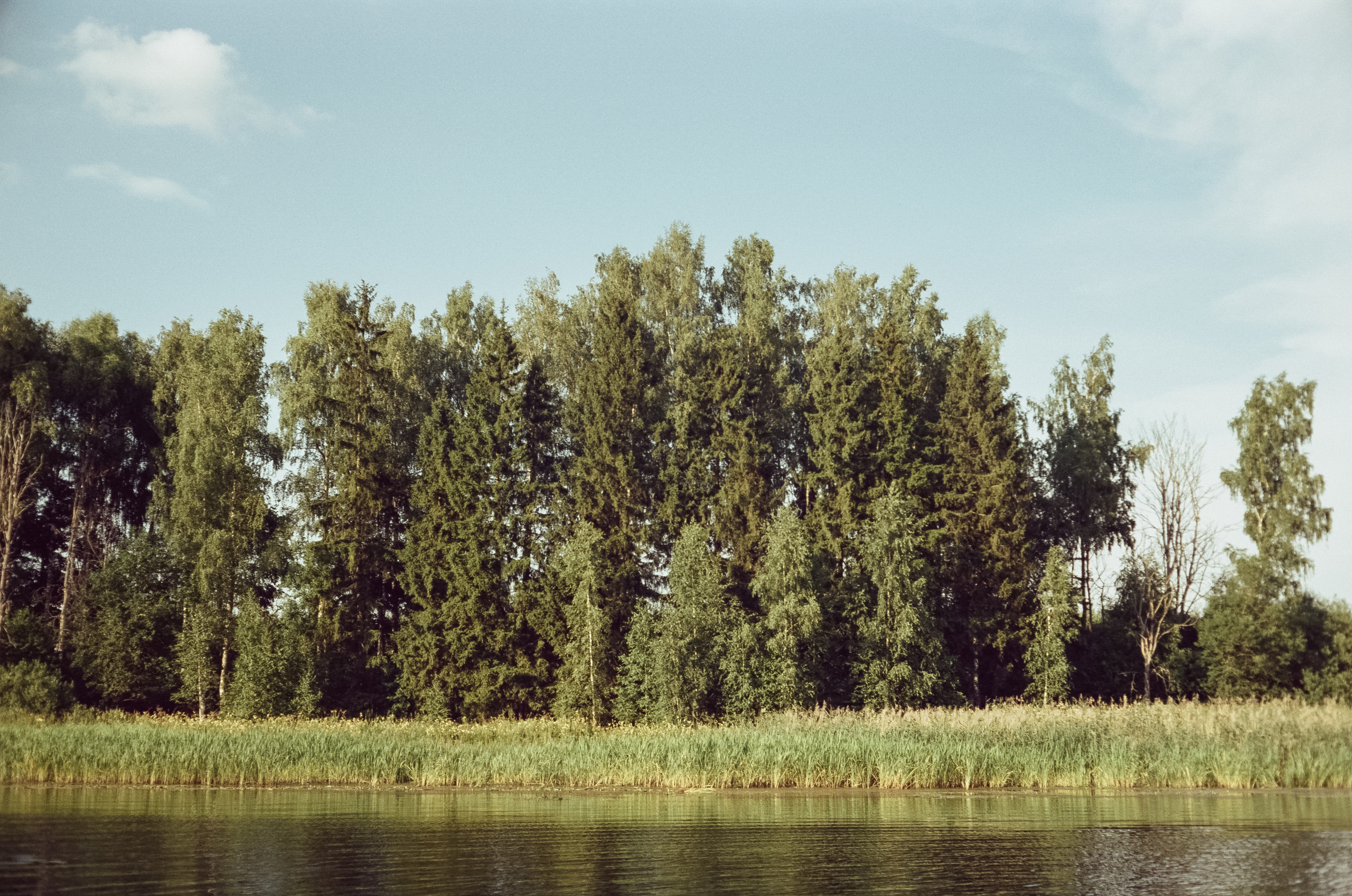 Canon Canonet QL17 G-III QL