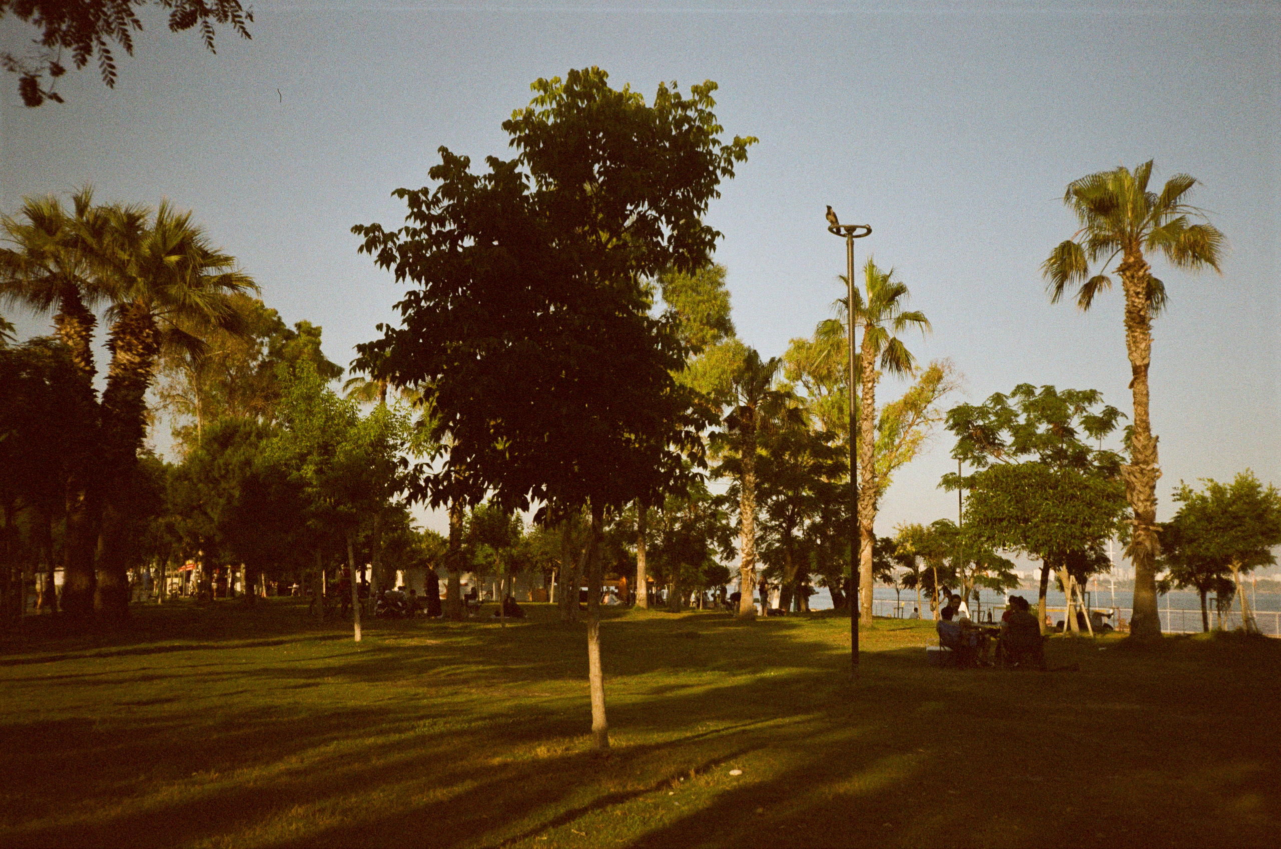 Набережная Антальи на просроченную пленку Kodak Gold 200