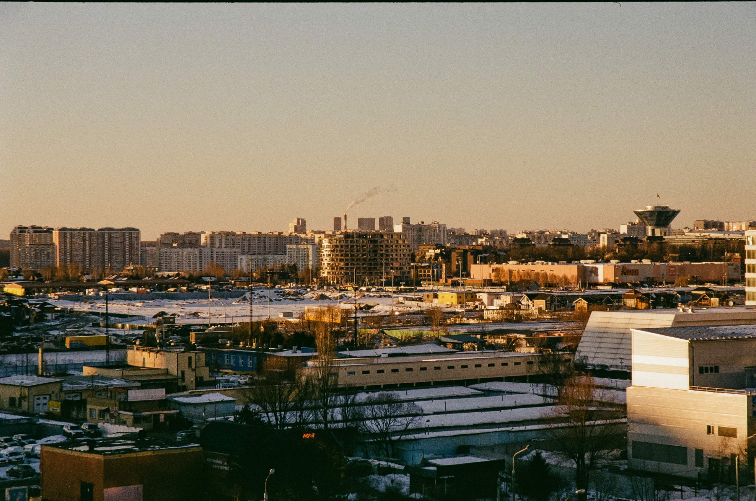 Kodak Ektar 100 / Contax N1