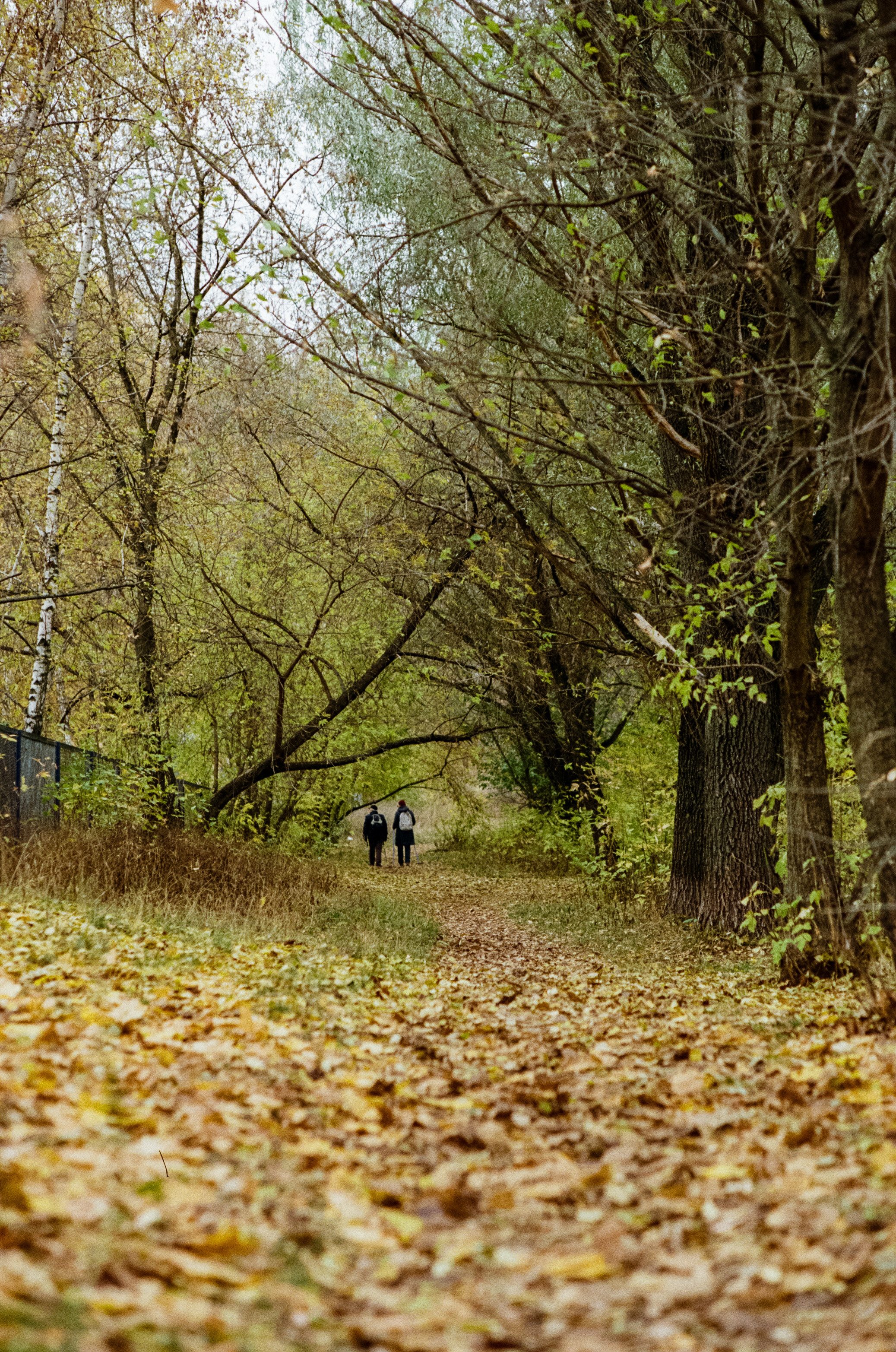 Московская осень на Kodak Gold 200
