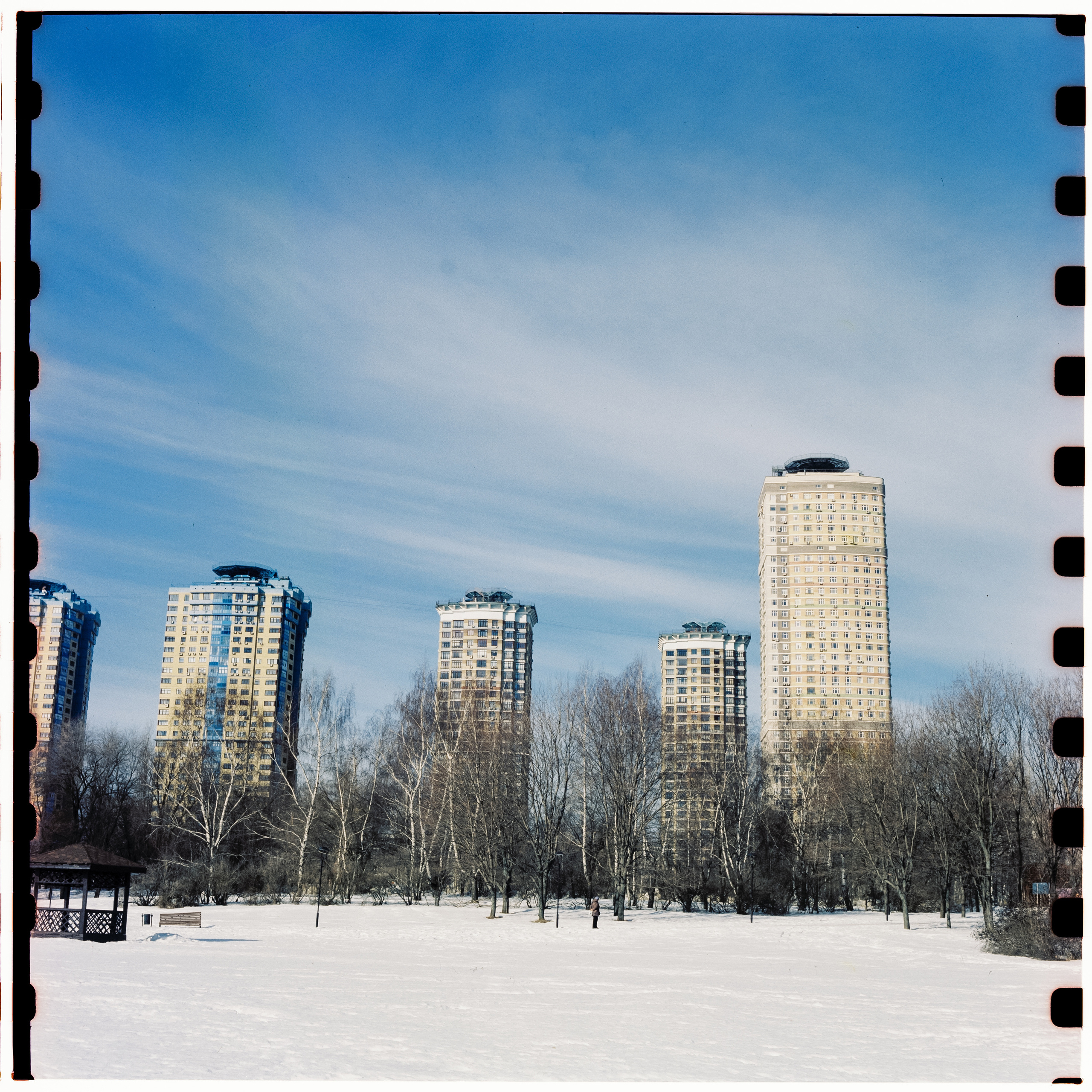 Kodak Vision 3 250D / Yashica Mat 124