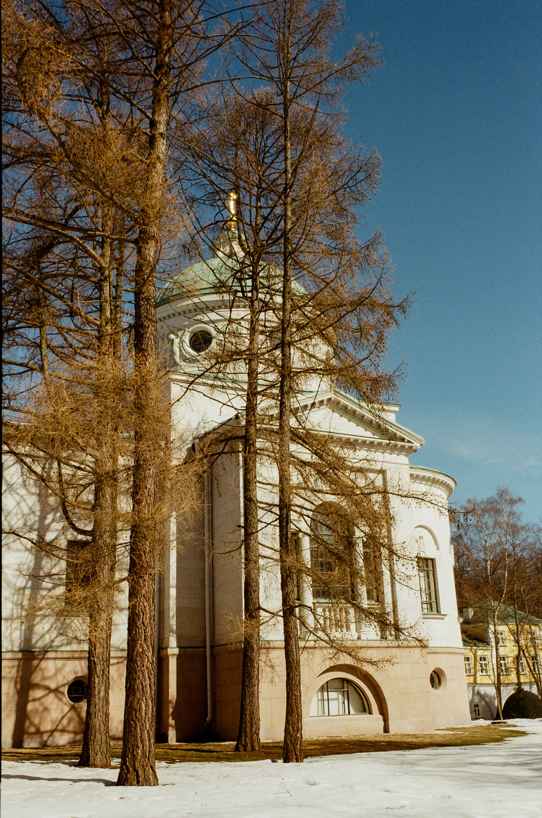 Kodak Ektar 100 / Contax N1
