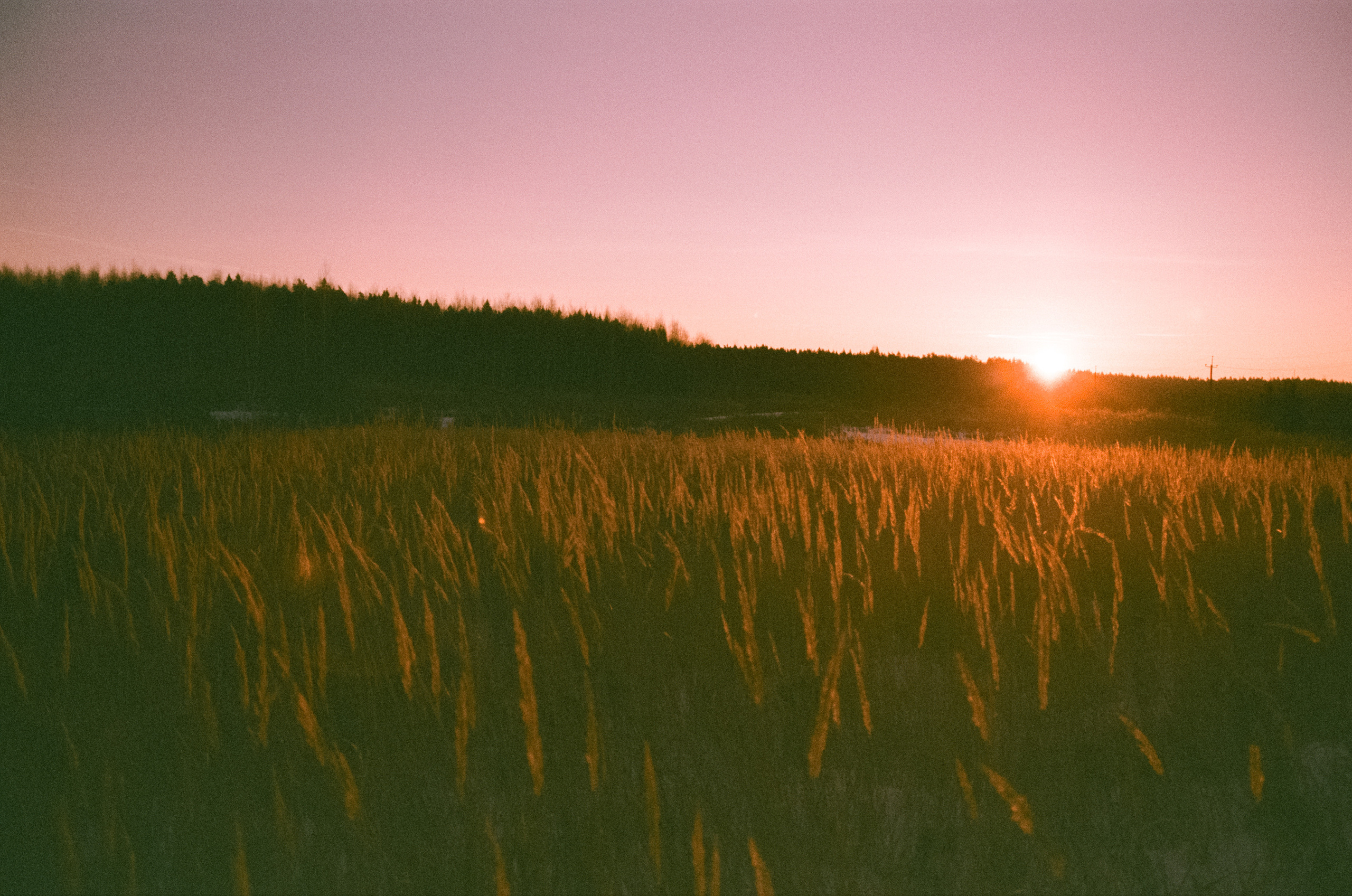 Закат на Konica Centuria Super 400