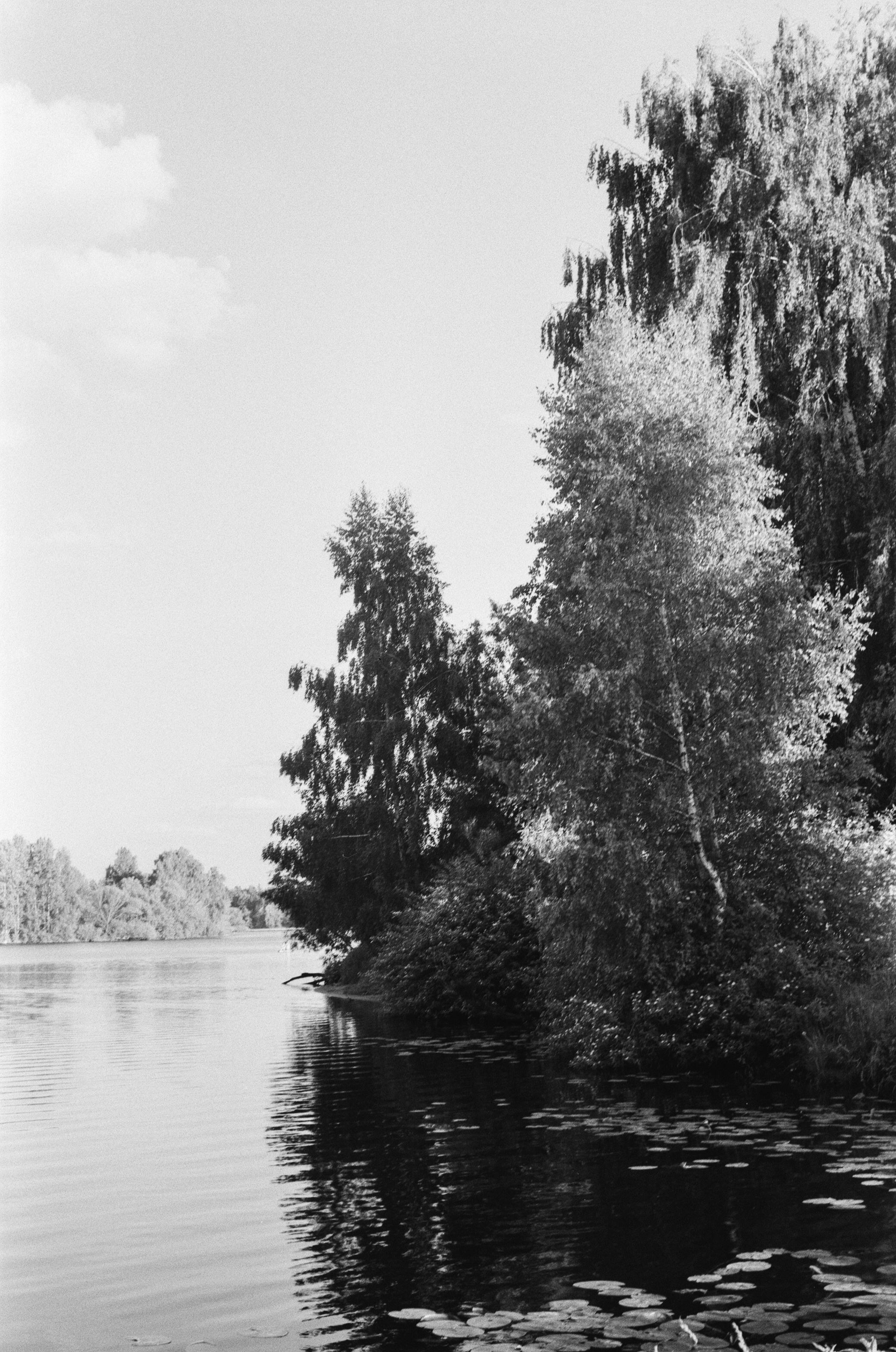 Welta Weltini примеры фотографий