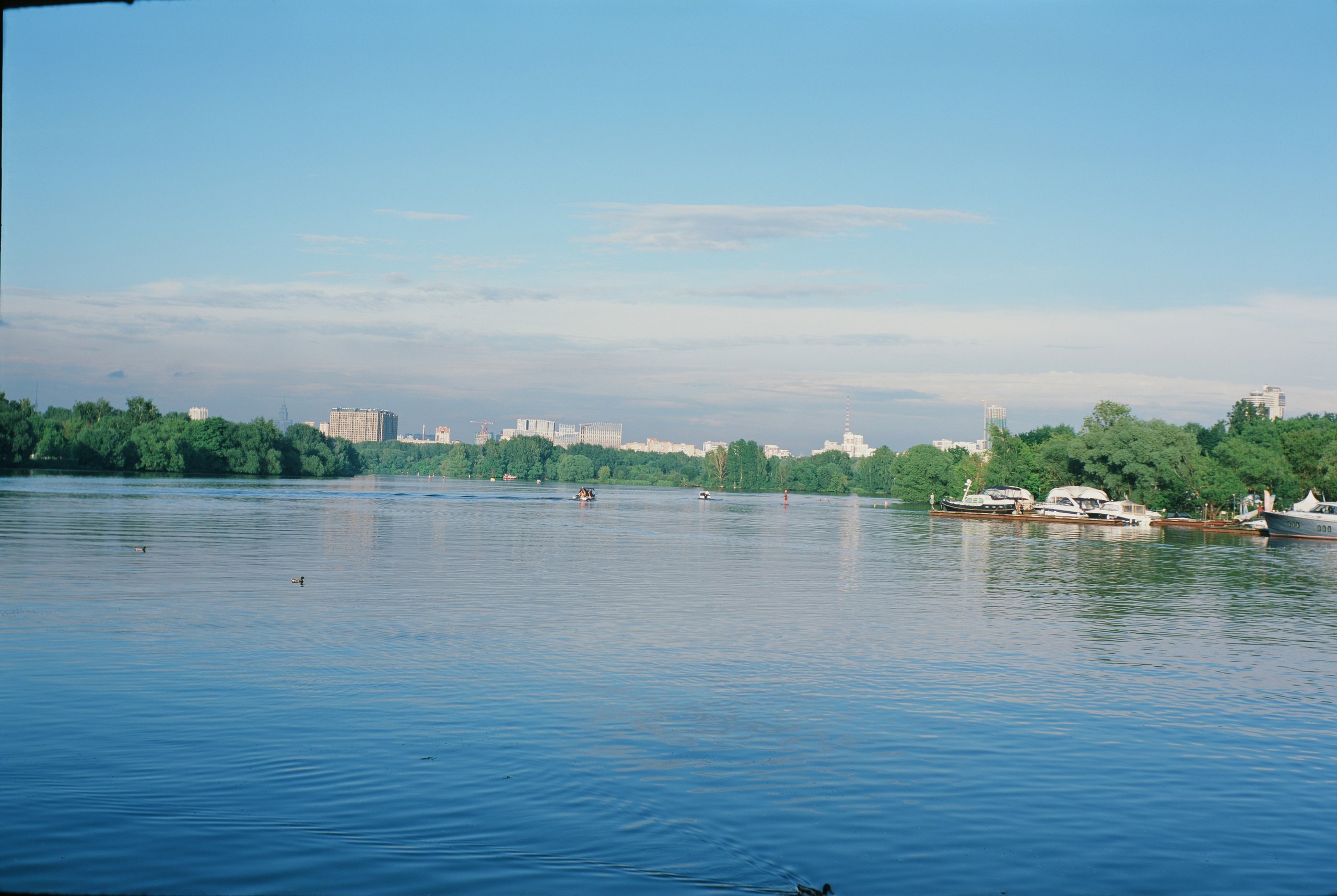 Fujichrome Provia 100 °F / Franka Rolfix II