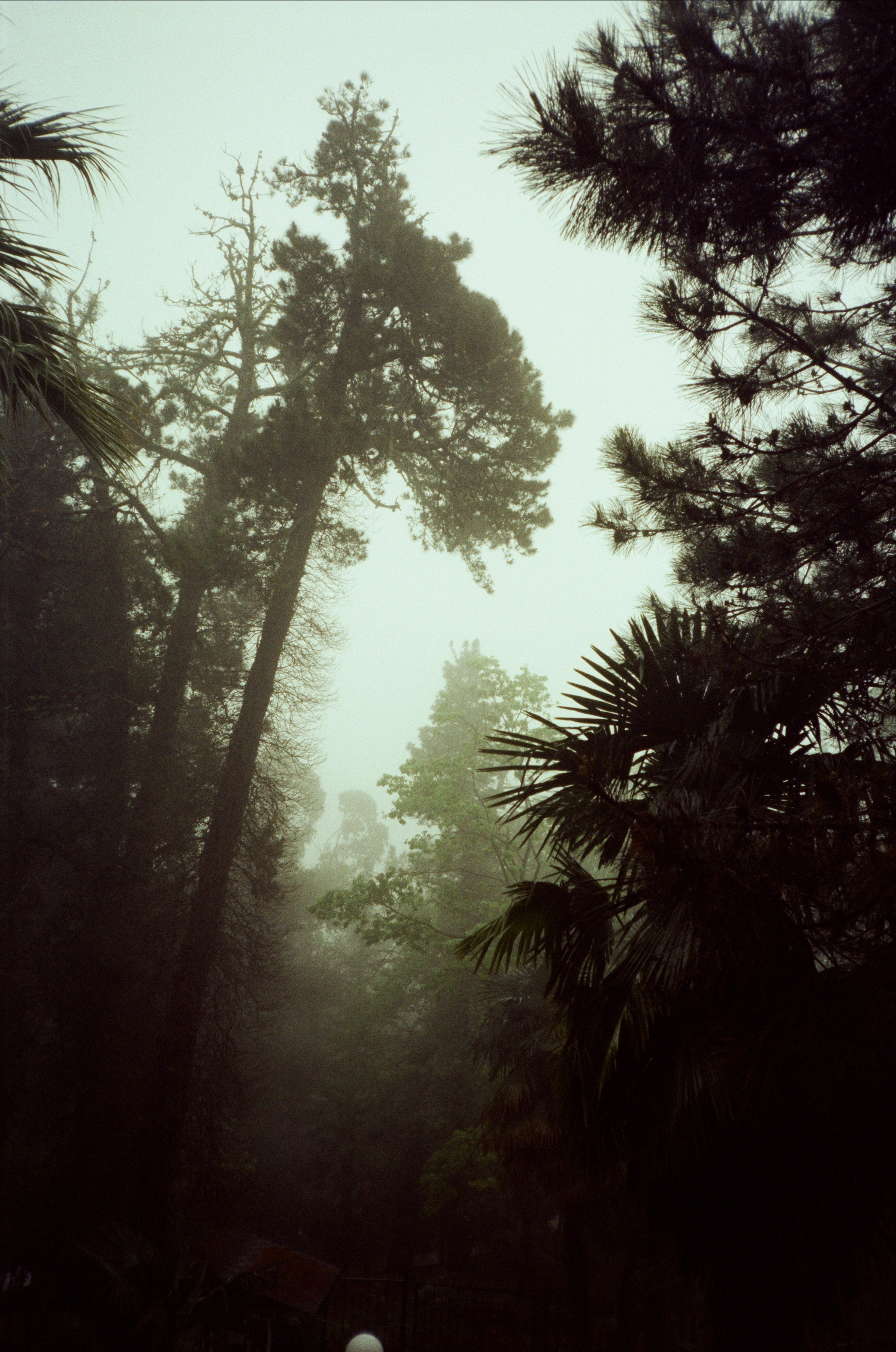 Дача Сталина и закаты в Сочи / Revue 35 CC