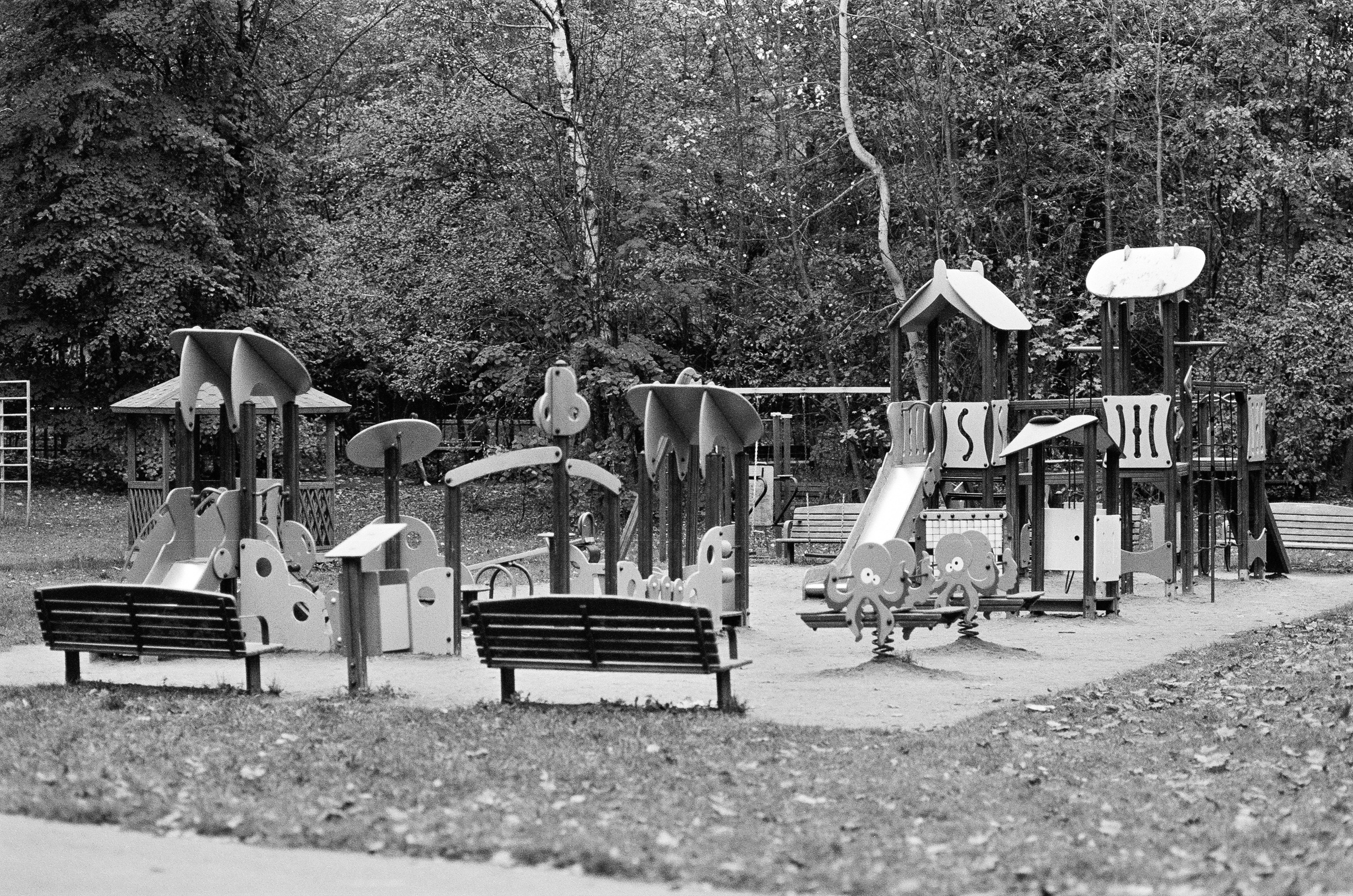 Minolta AF 85 mm f1.4 — Minolta Dynax 800si / Ilford HP5 Plus 400