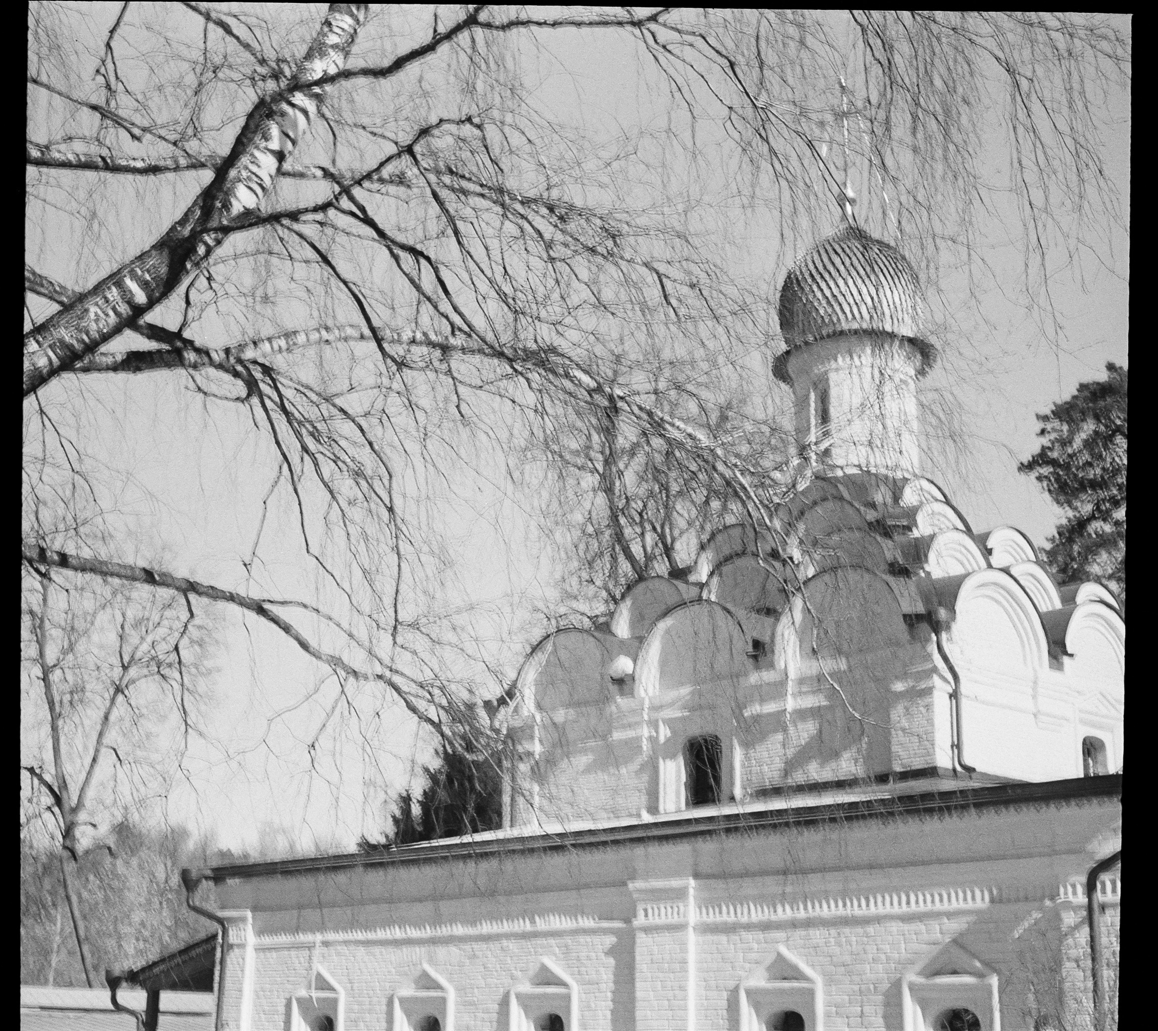 SFL UN 54 BW / Zeiss Ikon Tenax