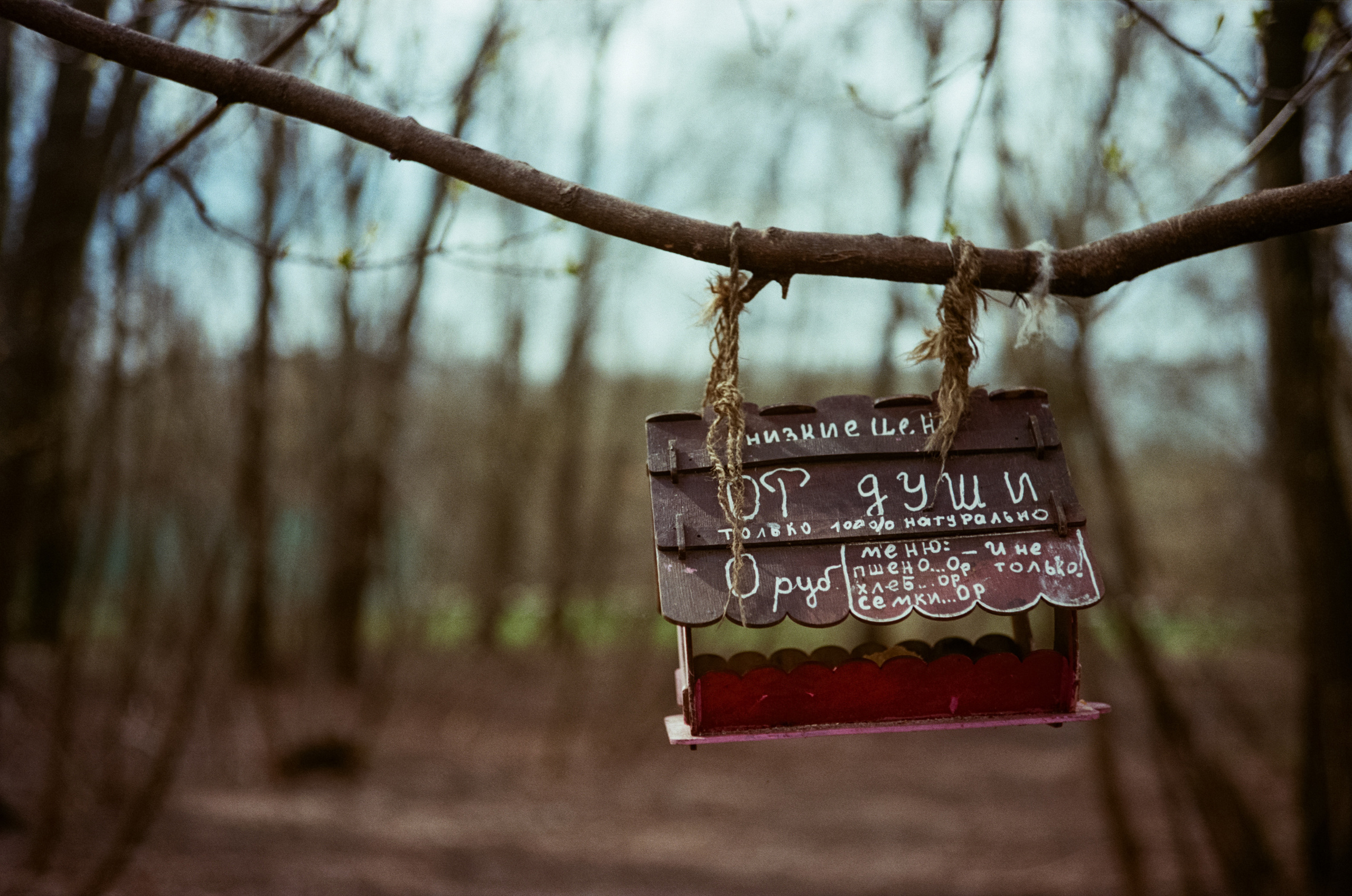 Kodak Portra 160 / Walz Envoy 35