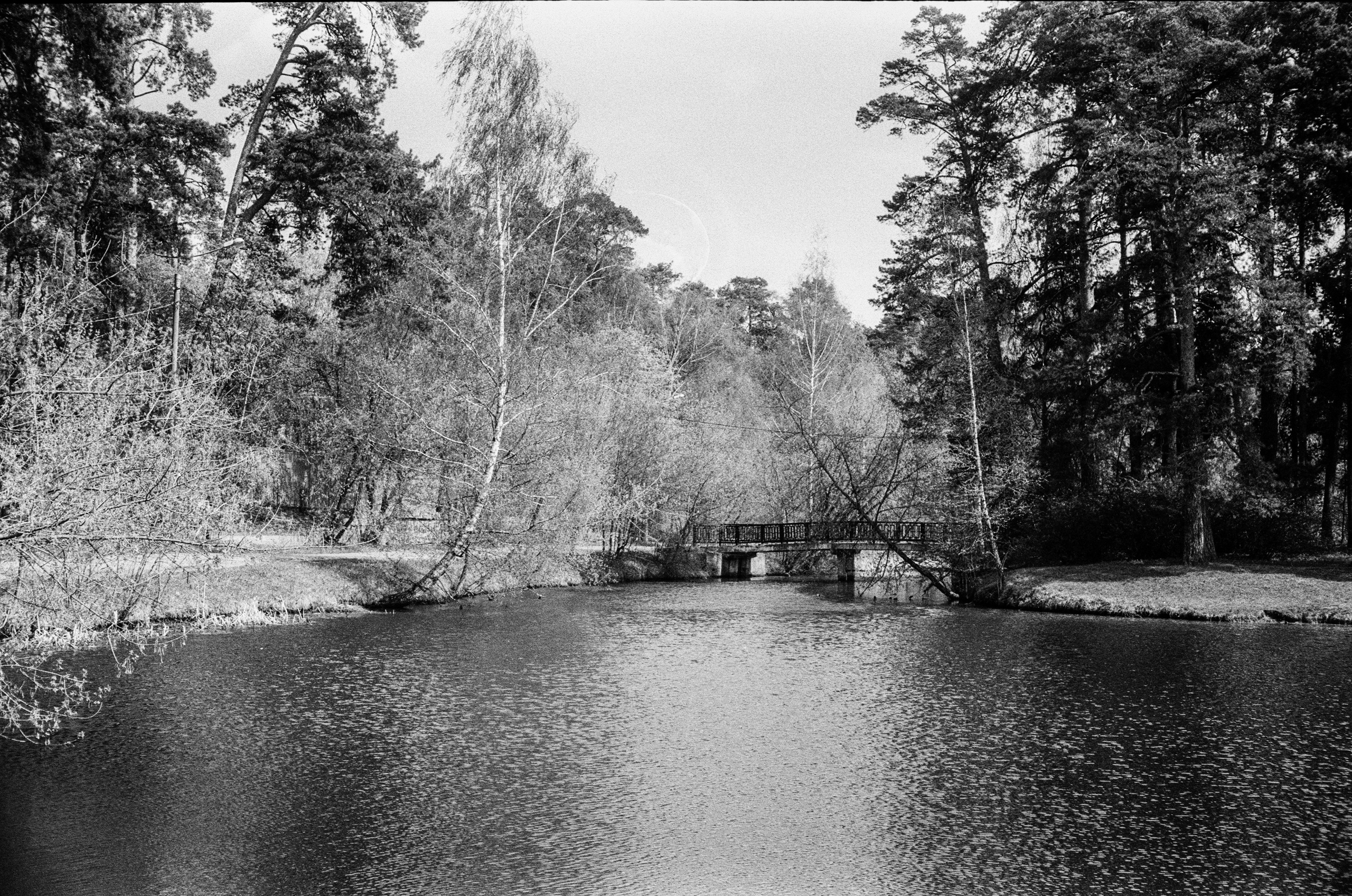 Kodak Double-X 5222