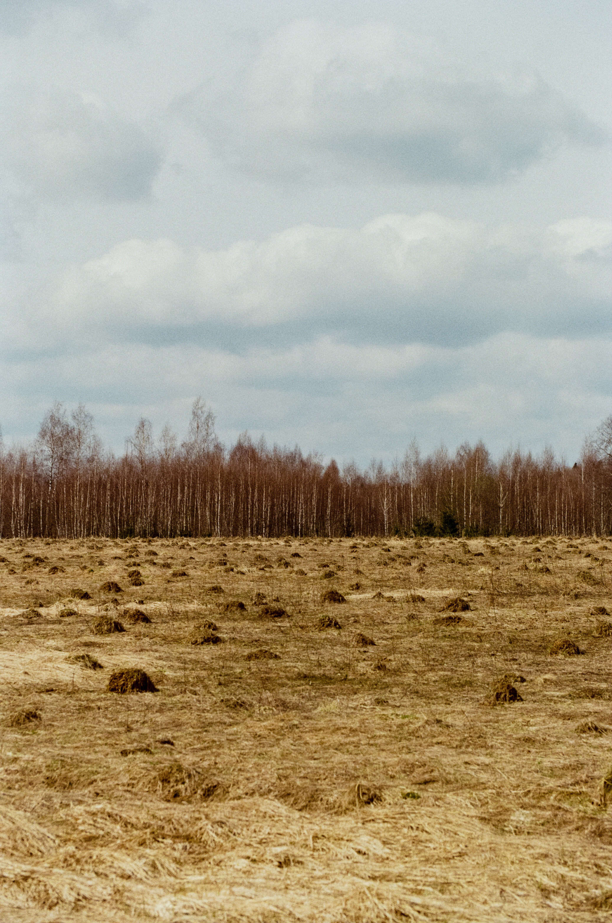 Carl Zeiss Makro-Sonnar 100mm f2.8