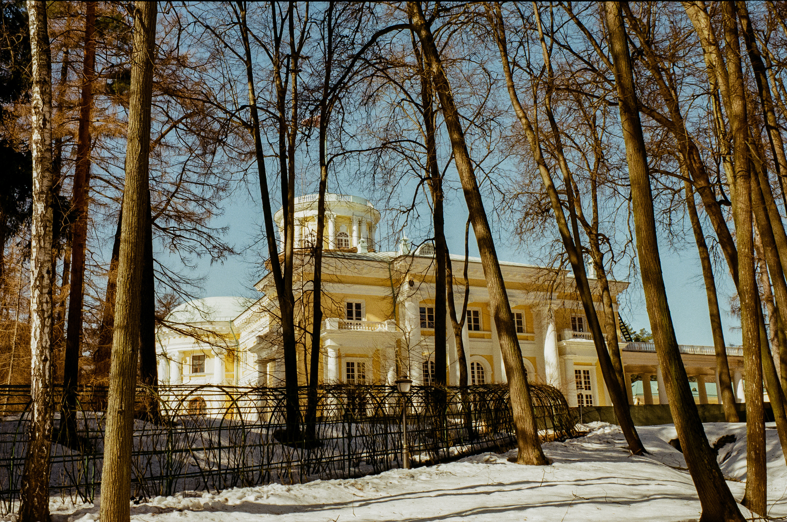 Kodak Ektar 100 / Contax N1