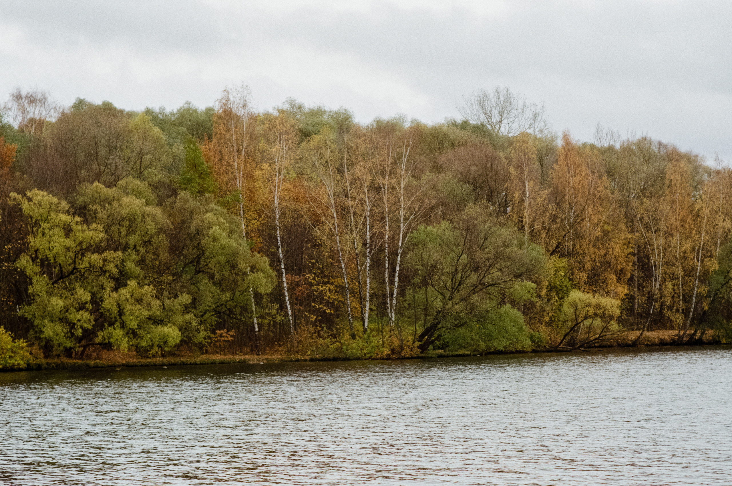 Московская осень на Kodak Gold 200