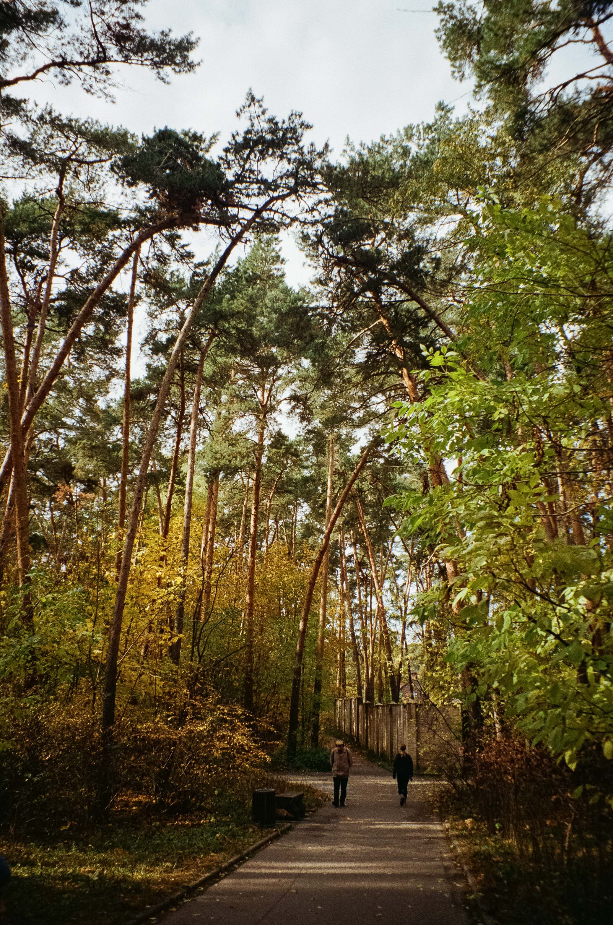 Осень на Kodak Gold 200