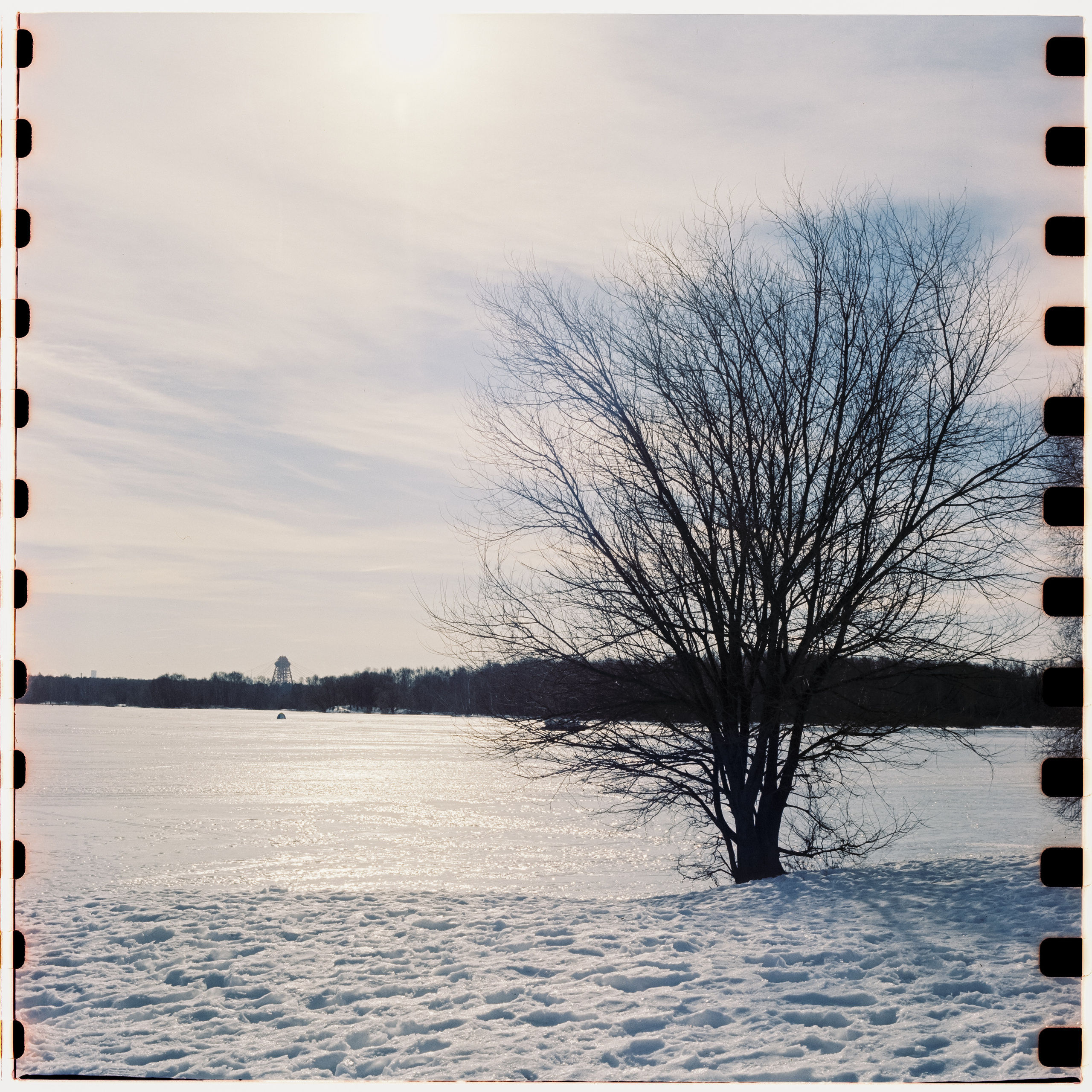 Kodak Vision 3 250D / Yashica Mat 124