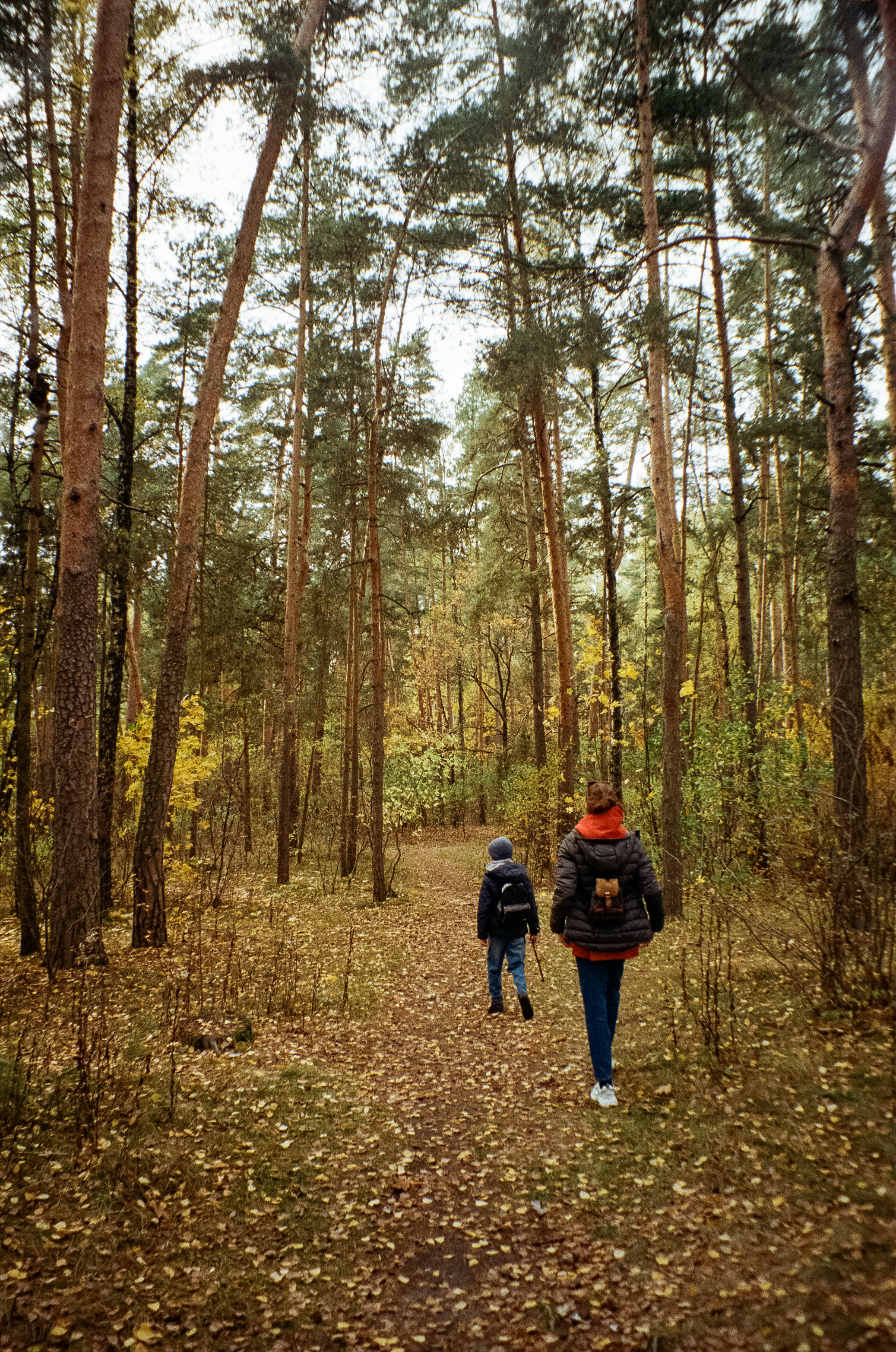 Осень на Kodak Gold 200