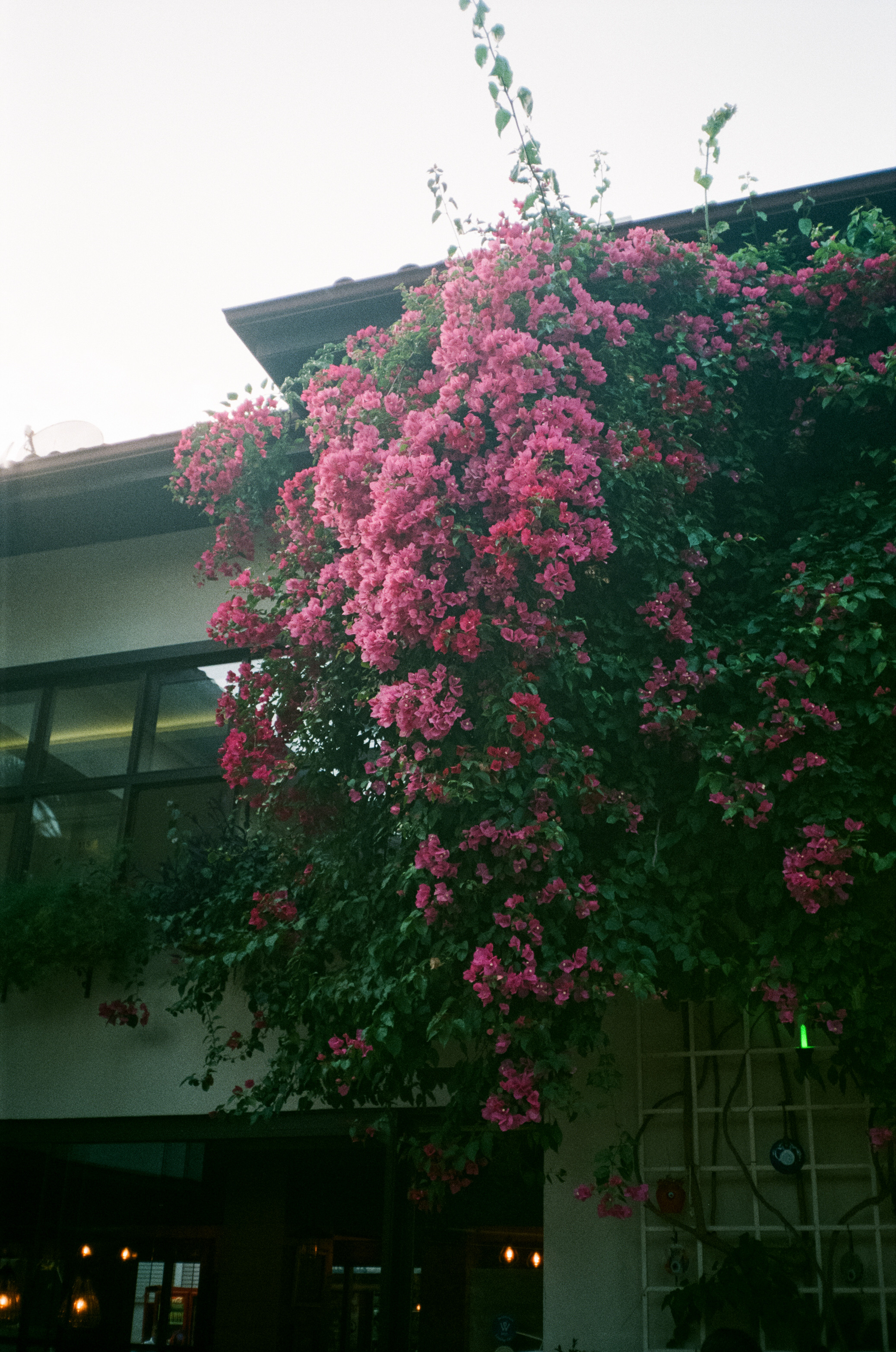 Анталья — прогулка на катере