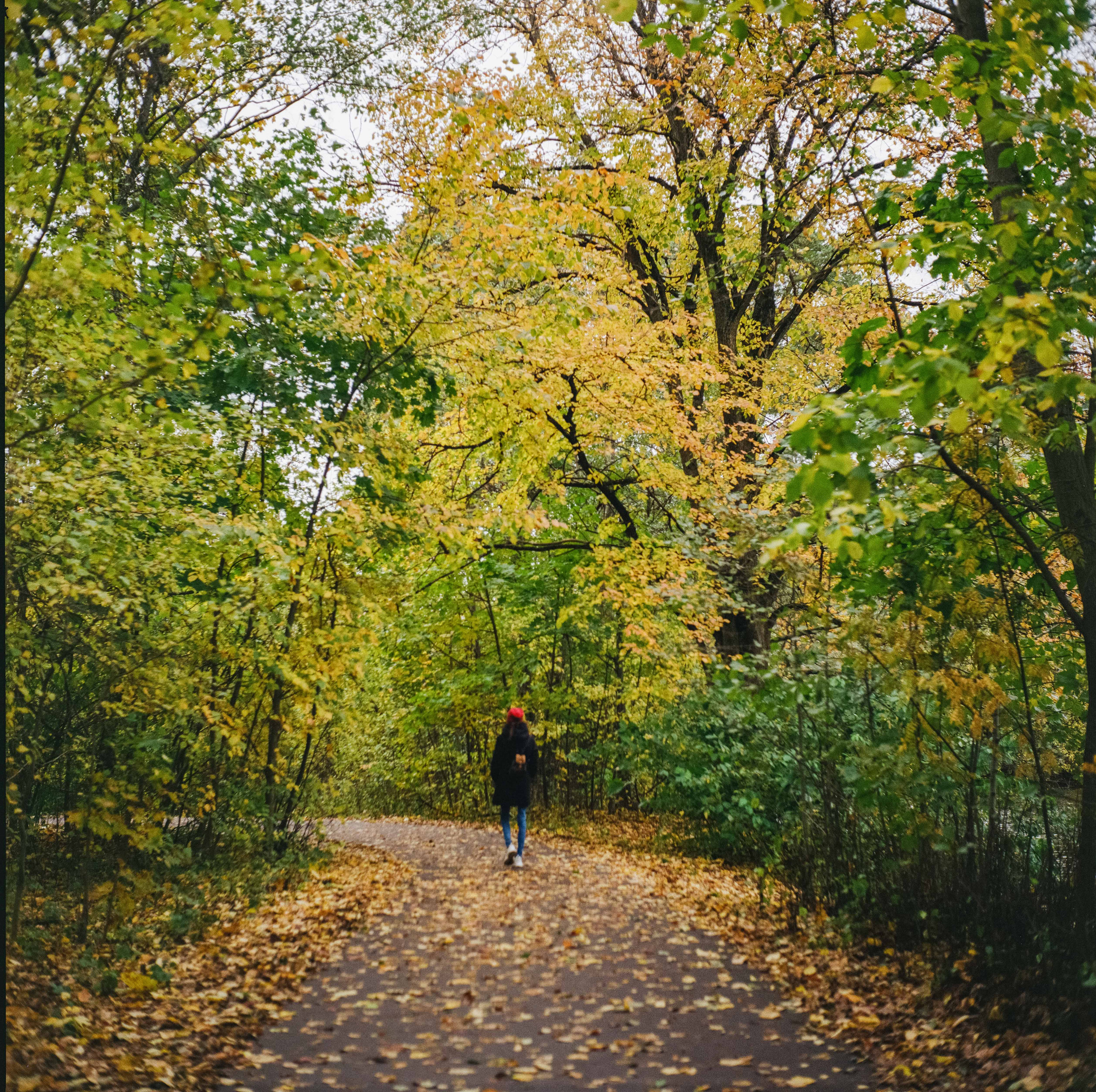 Yashica Mat-124G / Kodak Gold 200