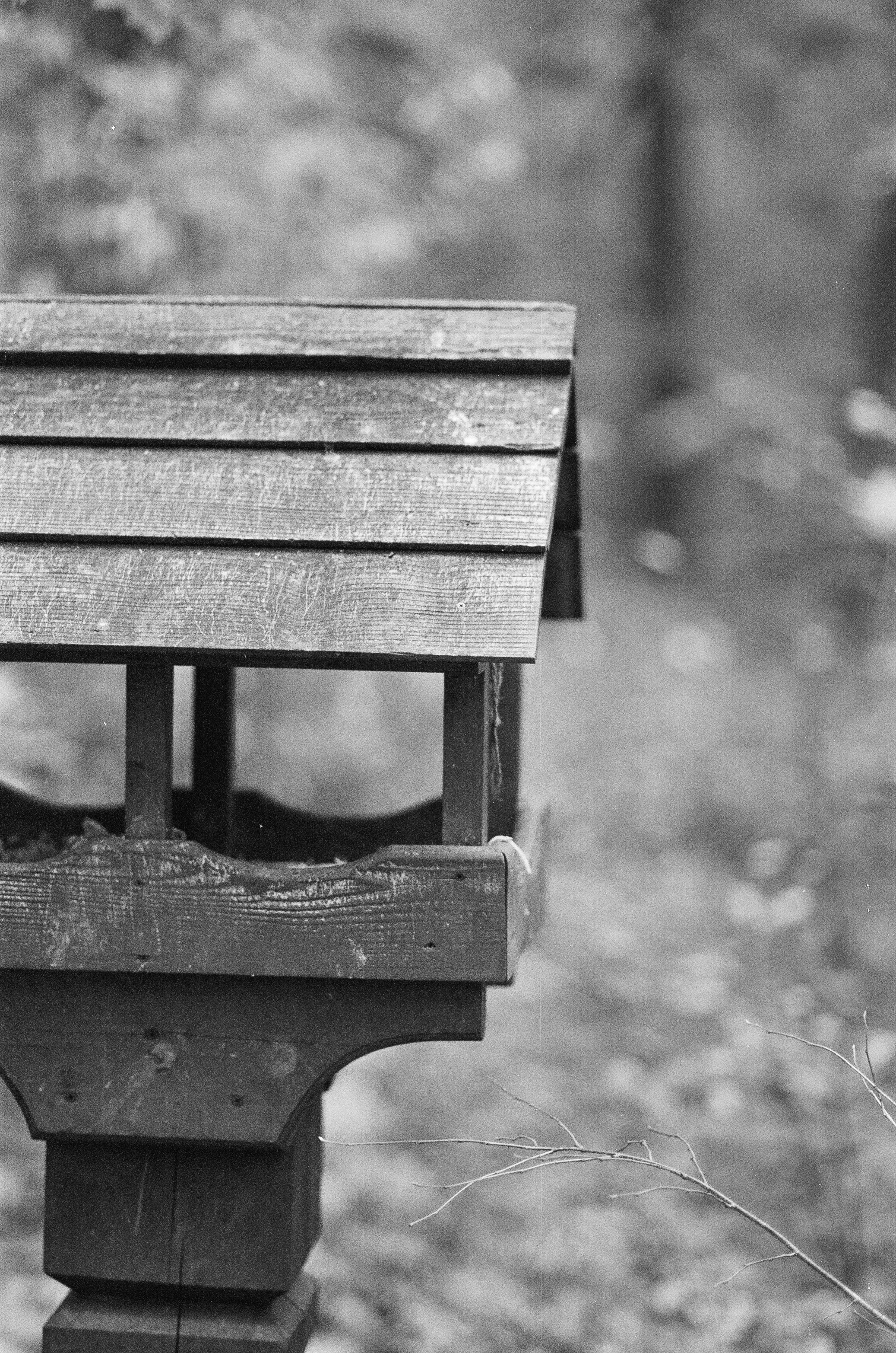 Minolta AF 85 mm f1.4 — Minolta Dynax 800si / Ilford HP5 Plus 400