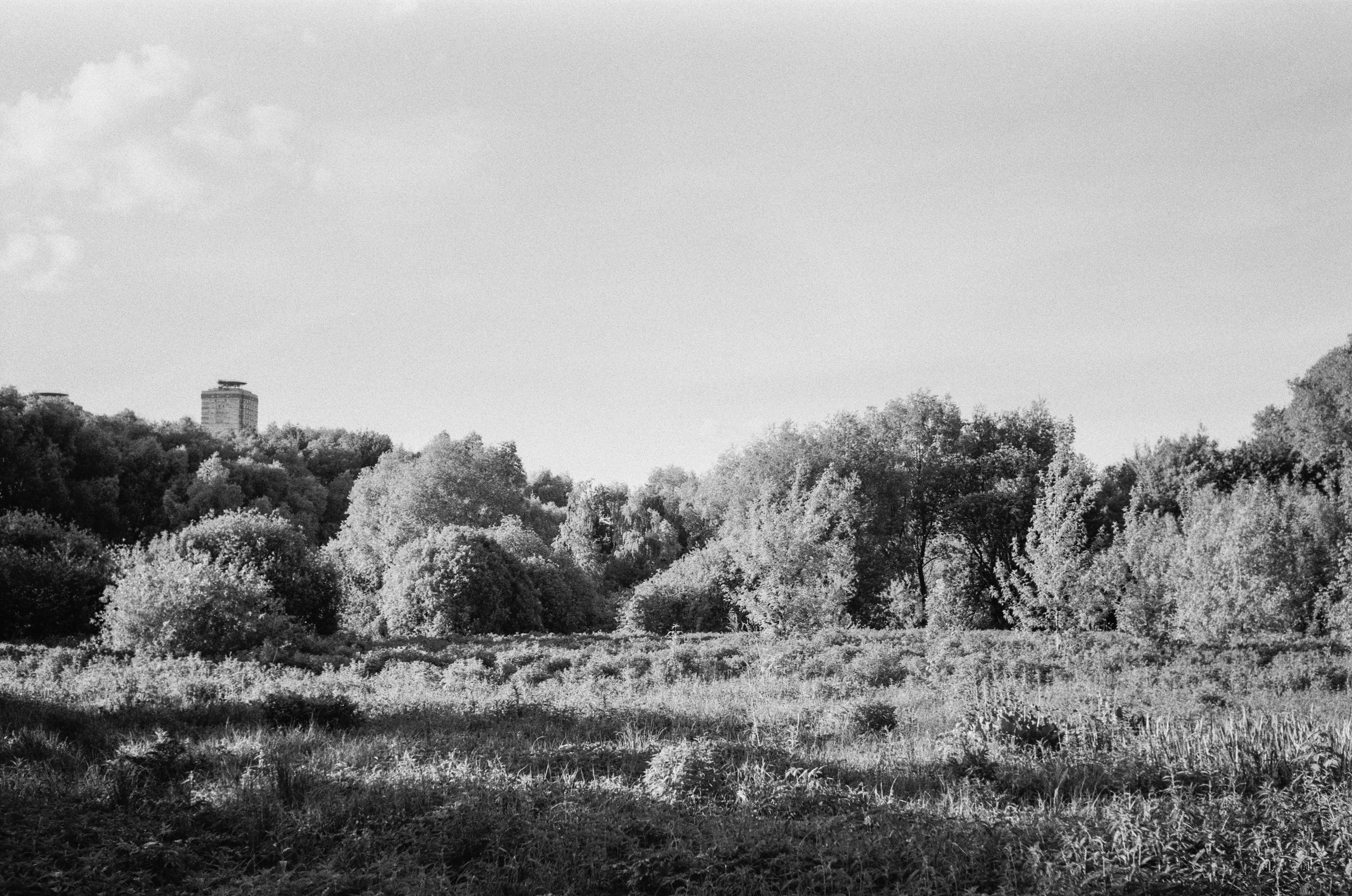 Schneider Xenon 50mm f2.0