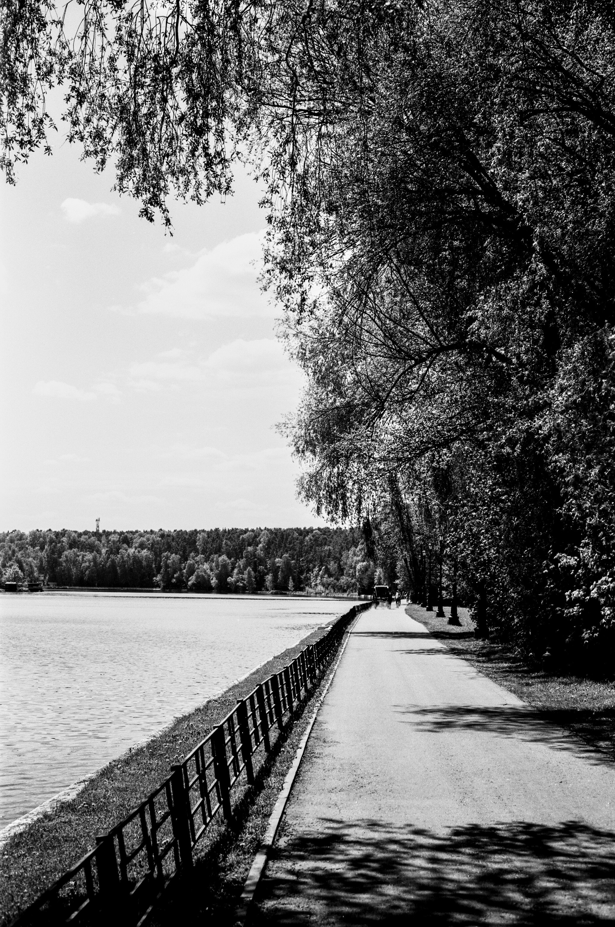 Kodak Retina Reflex S обзор