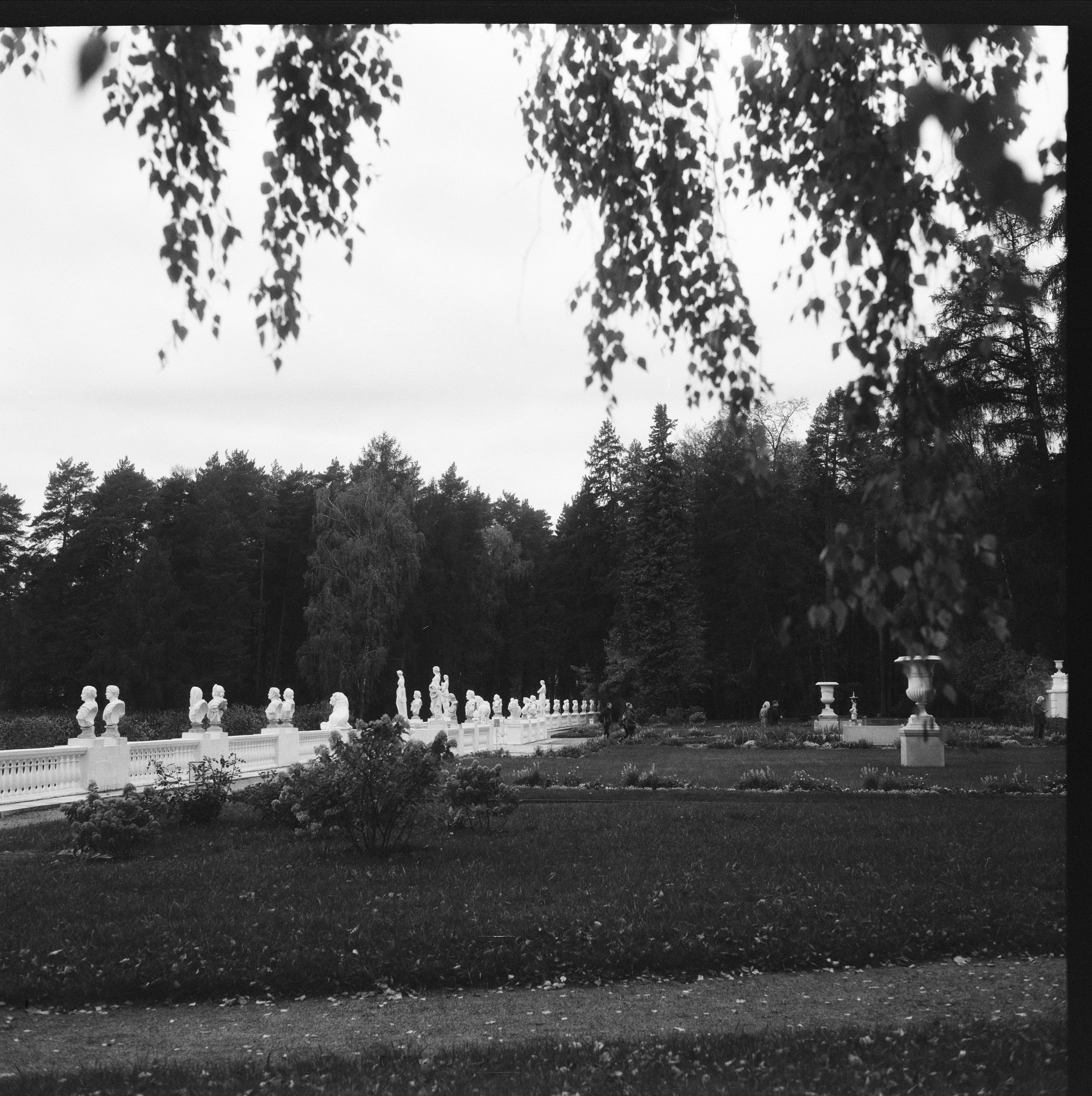 Super Fujica 6 / SFL Double-X Aerographic ISO 400